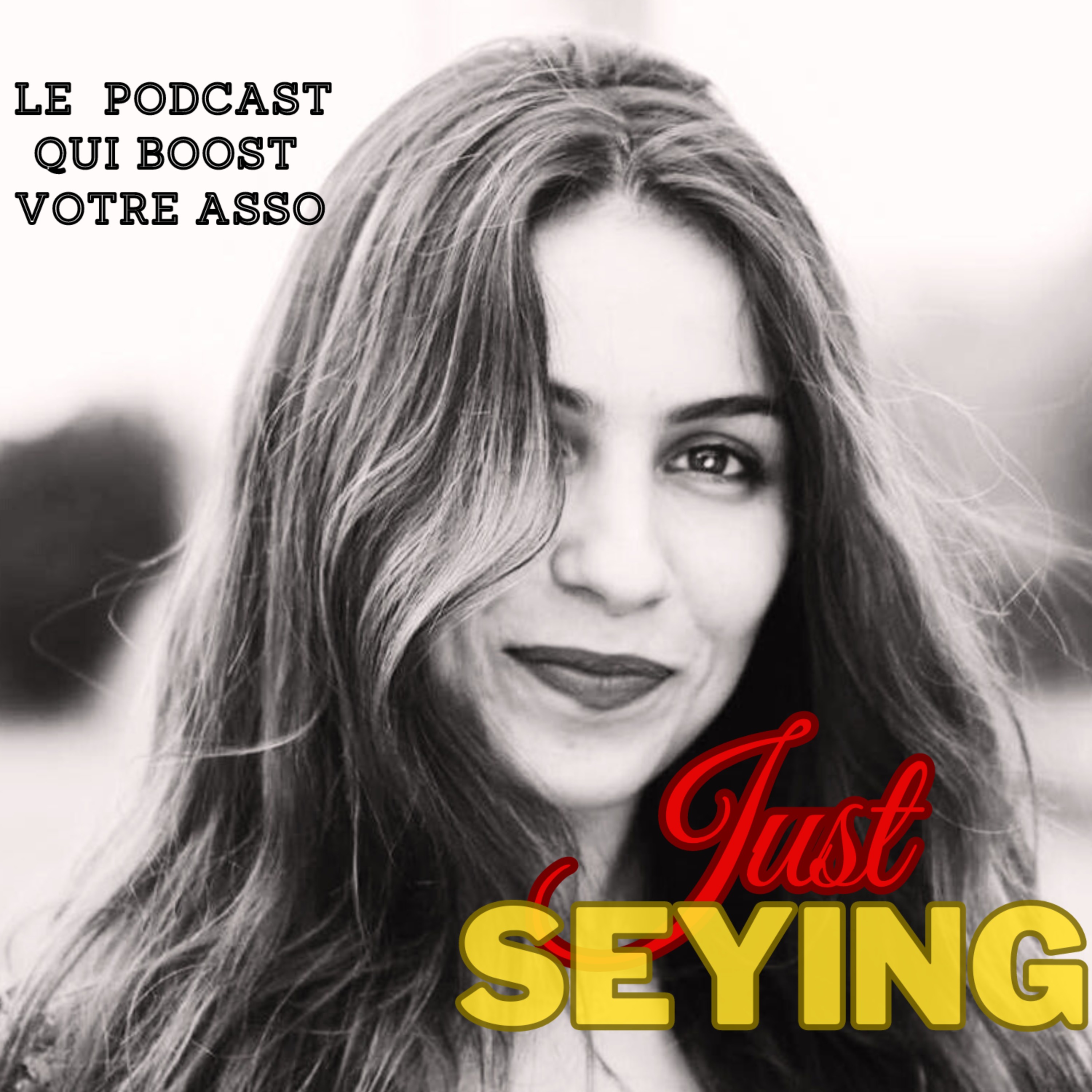 #3 Réussir la diversification financière de votre association - Partie 1 episode artwork