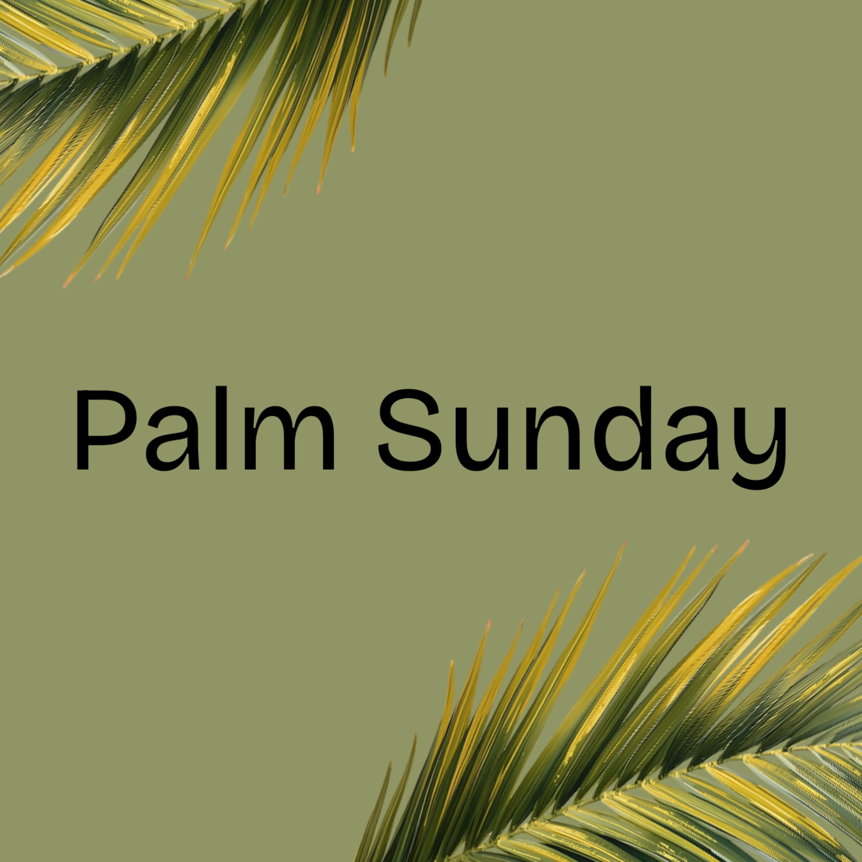 Who is this? | Mark 11:1-11