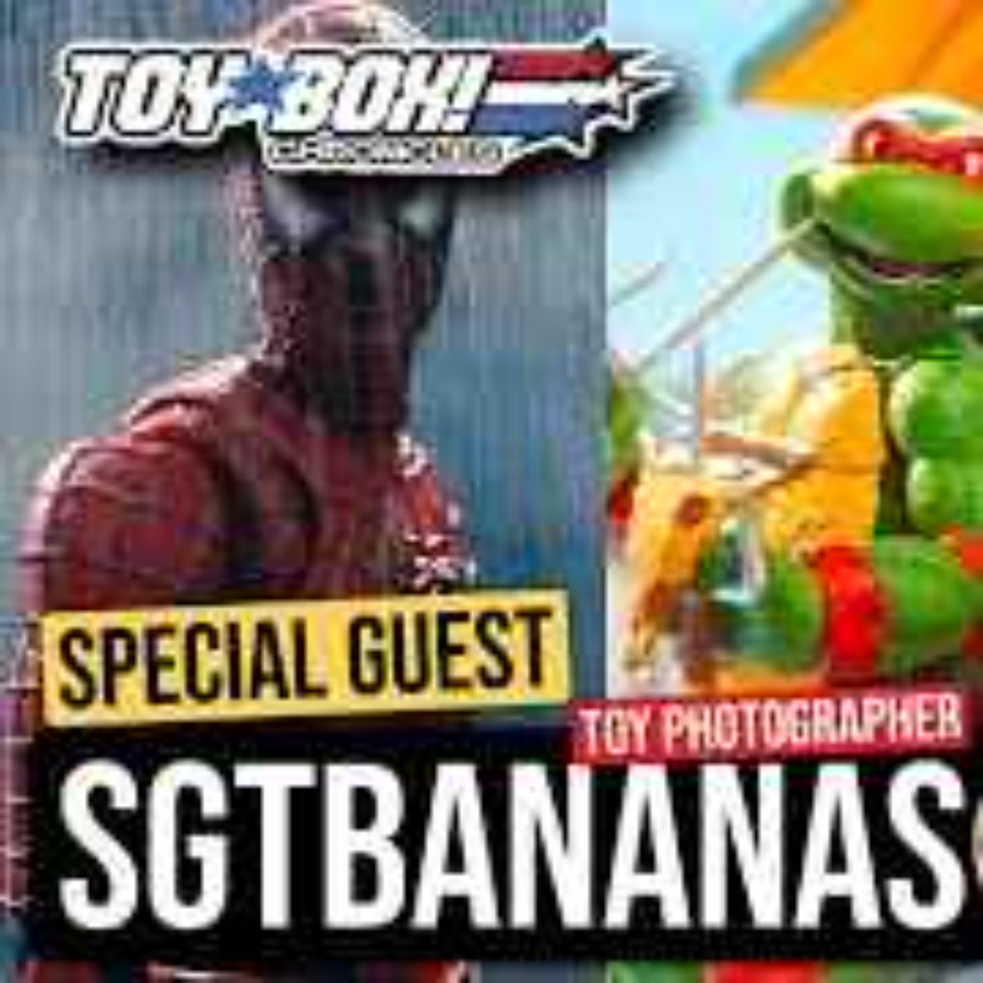 TOYBOX CHRONICLES