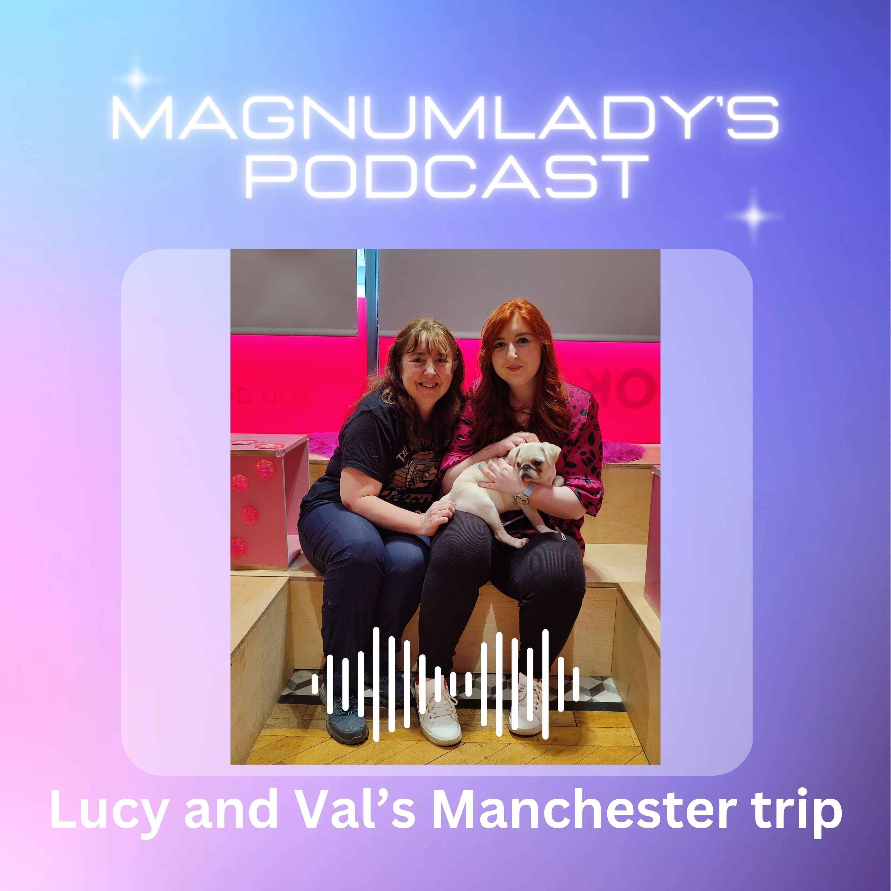 cover art for A Visit to Manchester 