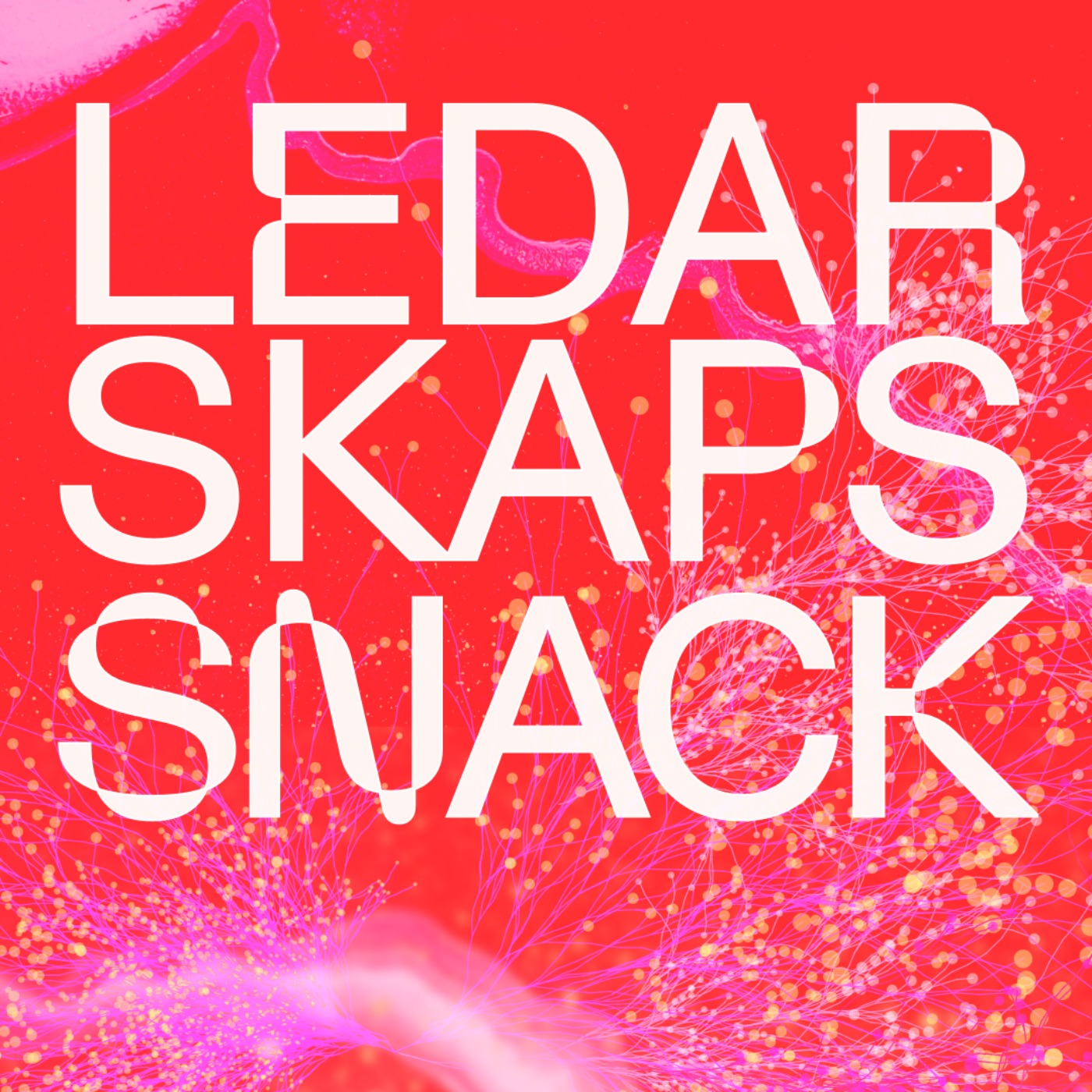 Trailer: Ledarskapssnack episode artwork
