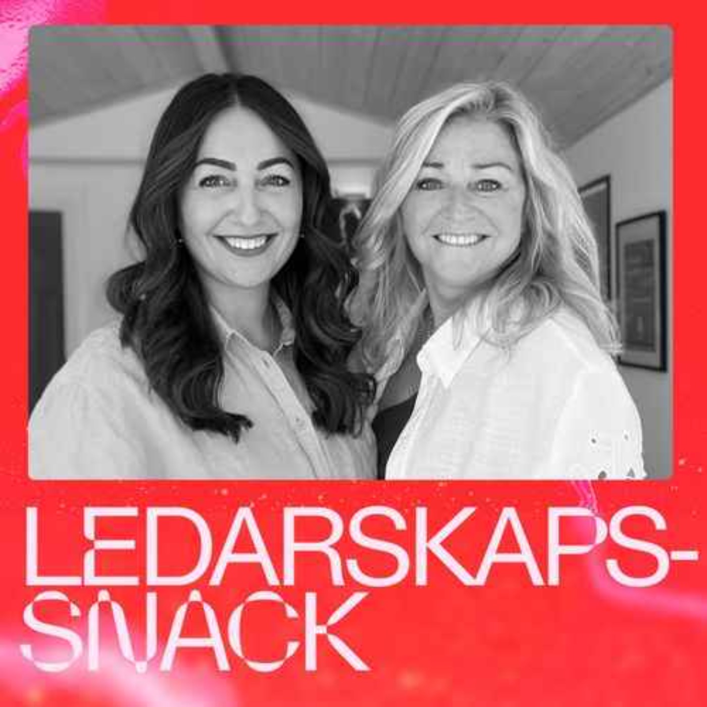 #24 Det handlar om AI och den nya organisationen - med Eva Ekedahl och Nina Amjadi episode artwork