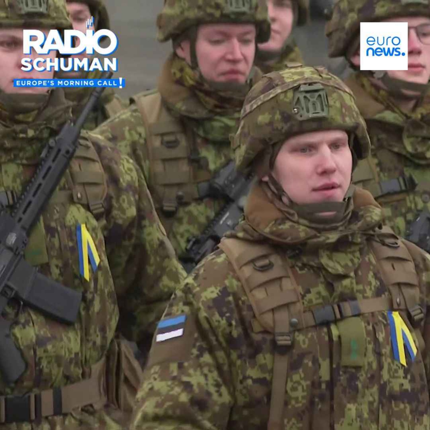 Don’t send troops to Ukraine at this stage, says lead MEP