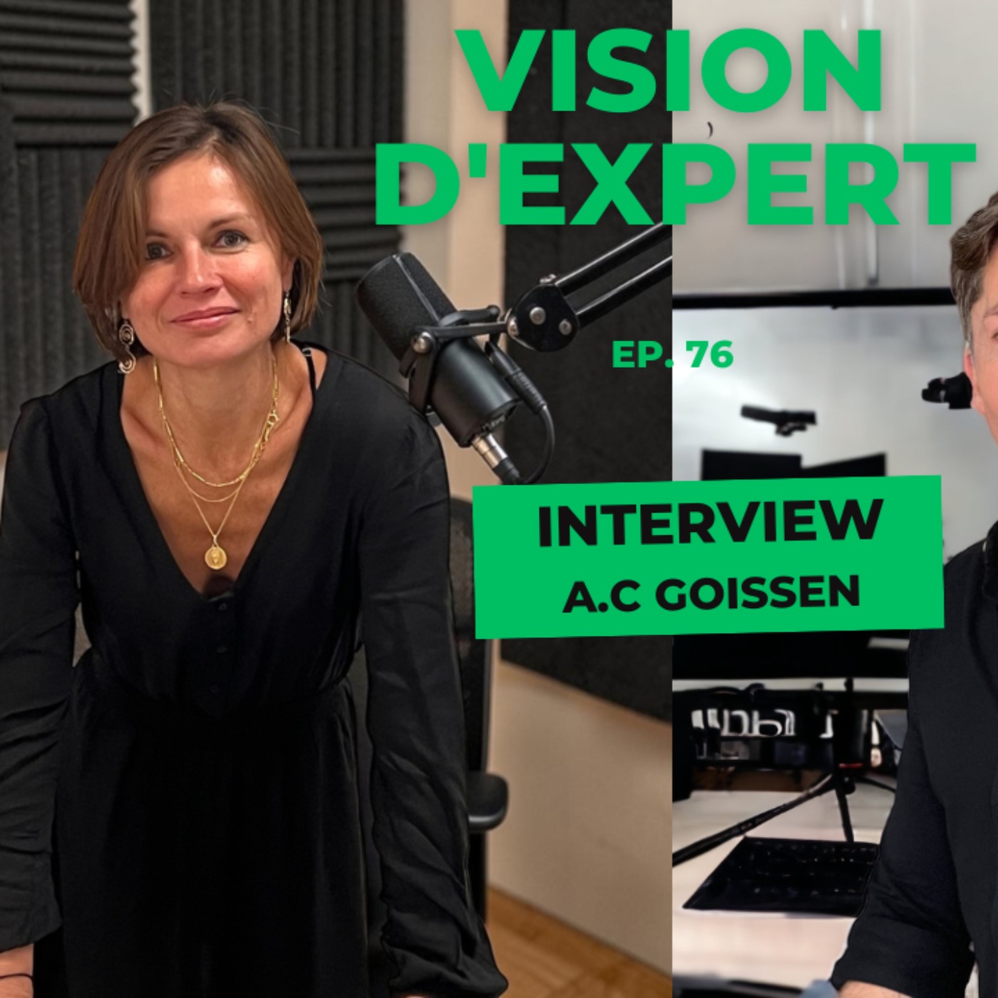 𝗩𝗶𝘀𝗶𝗼𝗻 𝗱'𝗘𝘅𝗽𝗲𝗿𝘁 #76 / Interview Anne Caroline GOISSEN / Resp  développement chez Point Vision episode artwork