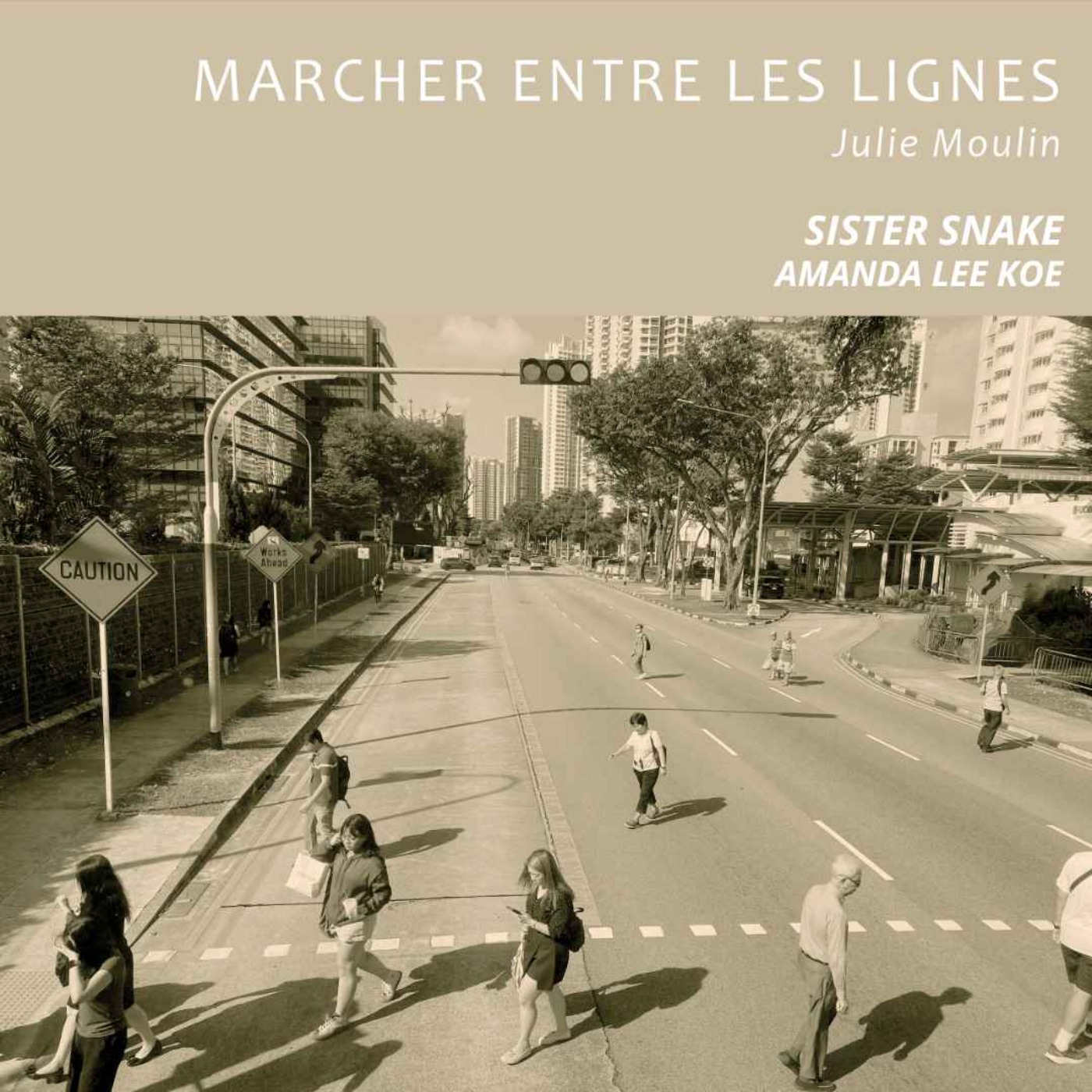 Sister Snake de Amanda Lee Koe