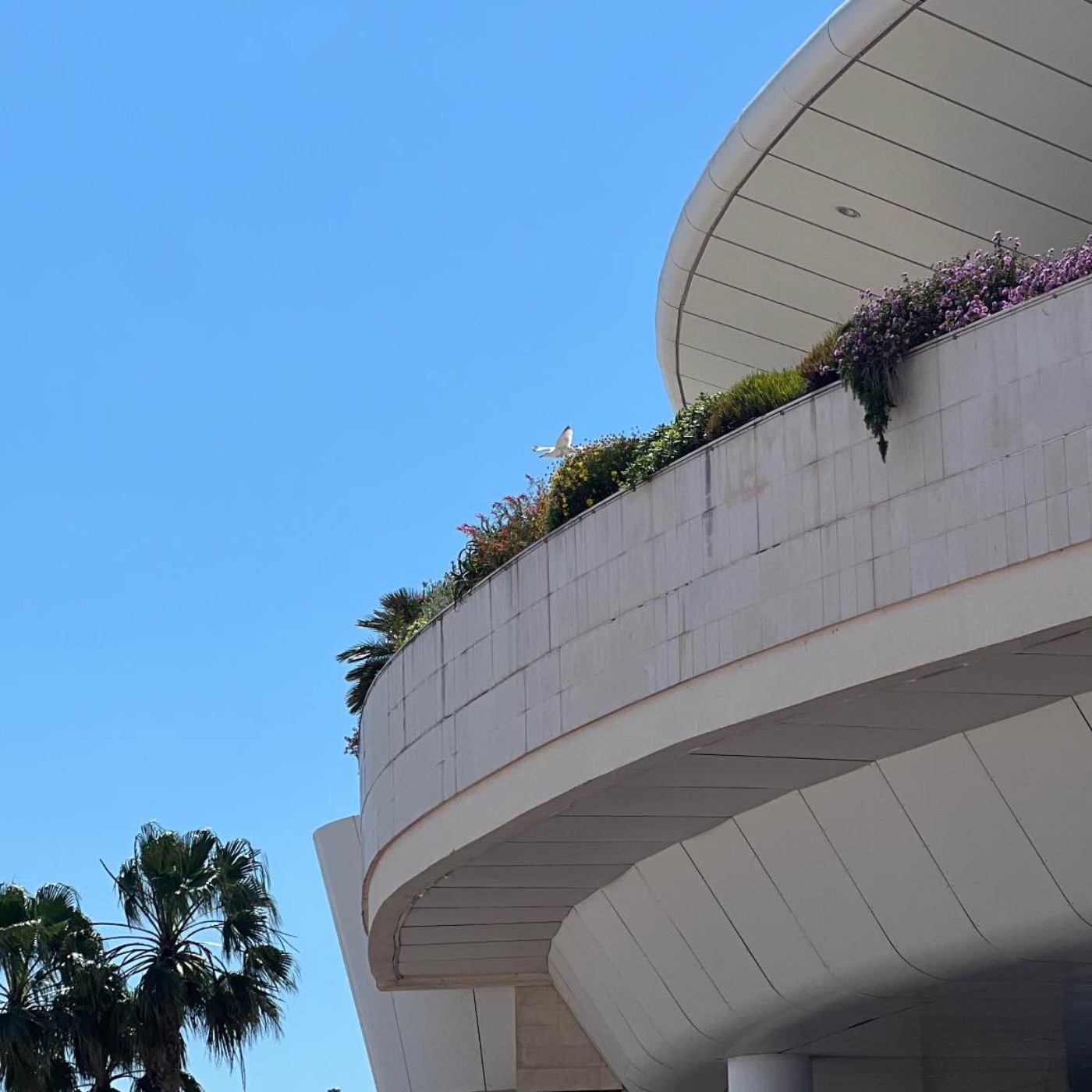 Ma vie au festival de Cannes