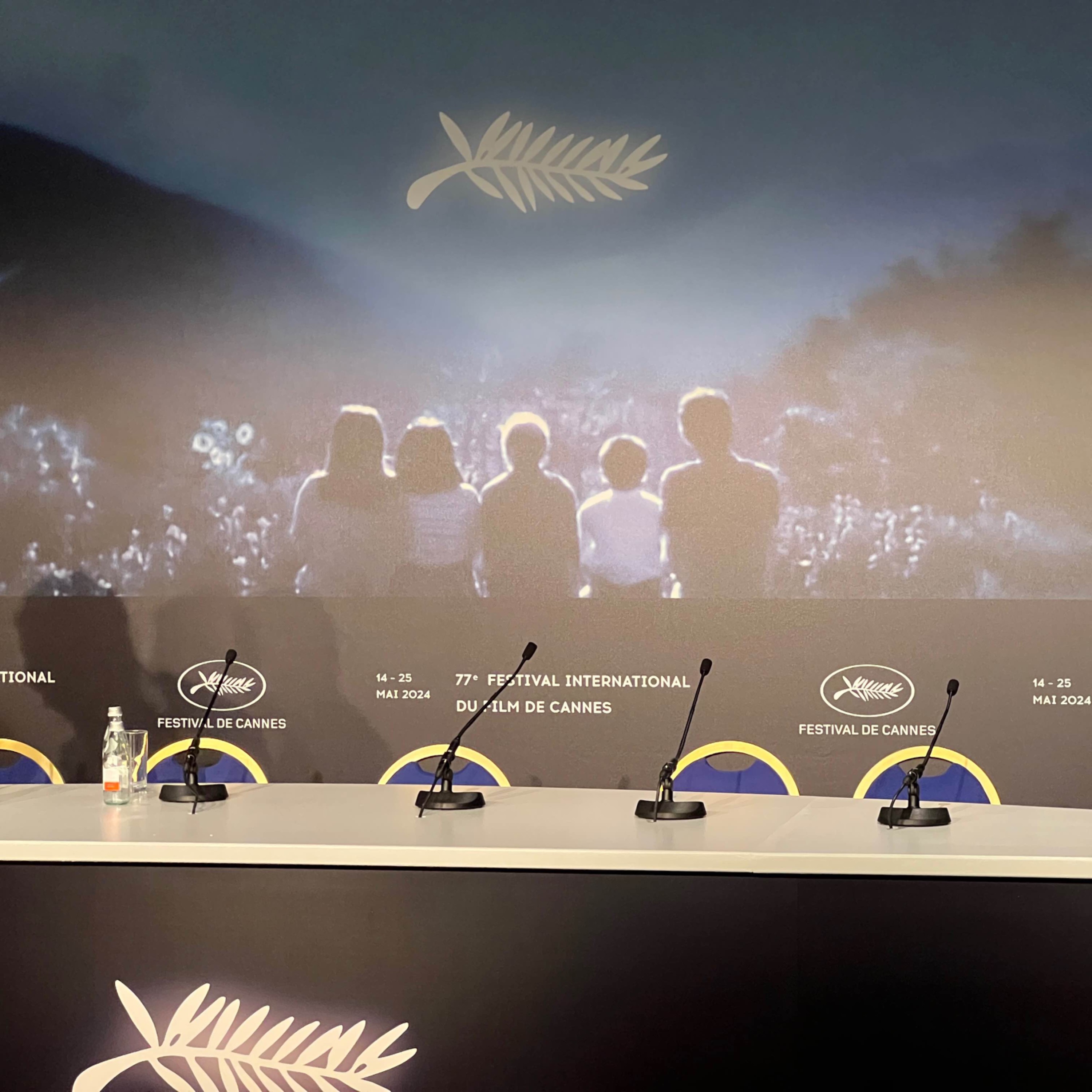 Ma vie au festival de Cannes