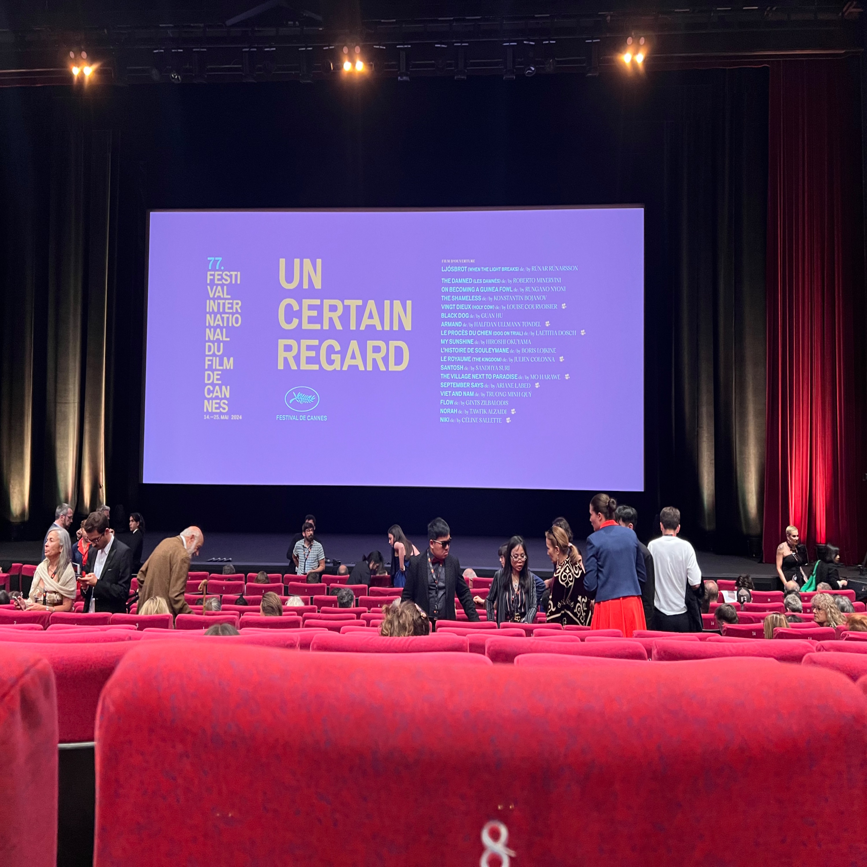 Ma vie au festival de Cannes