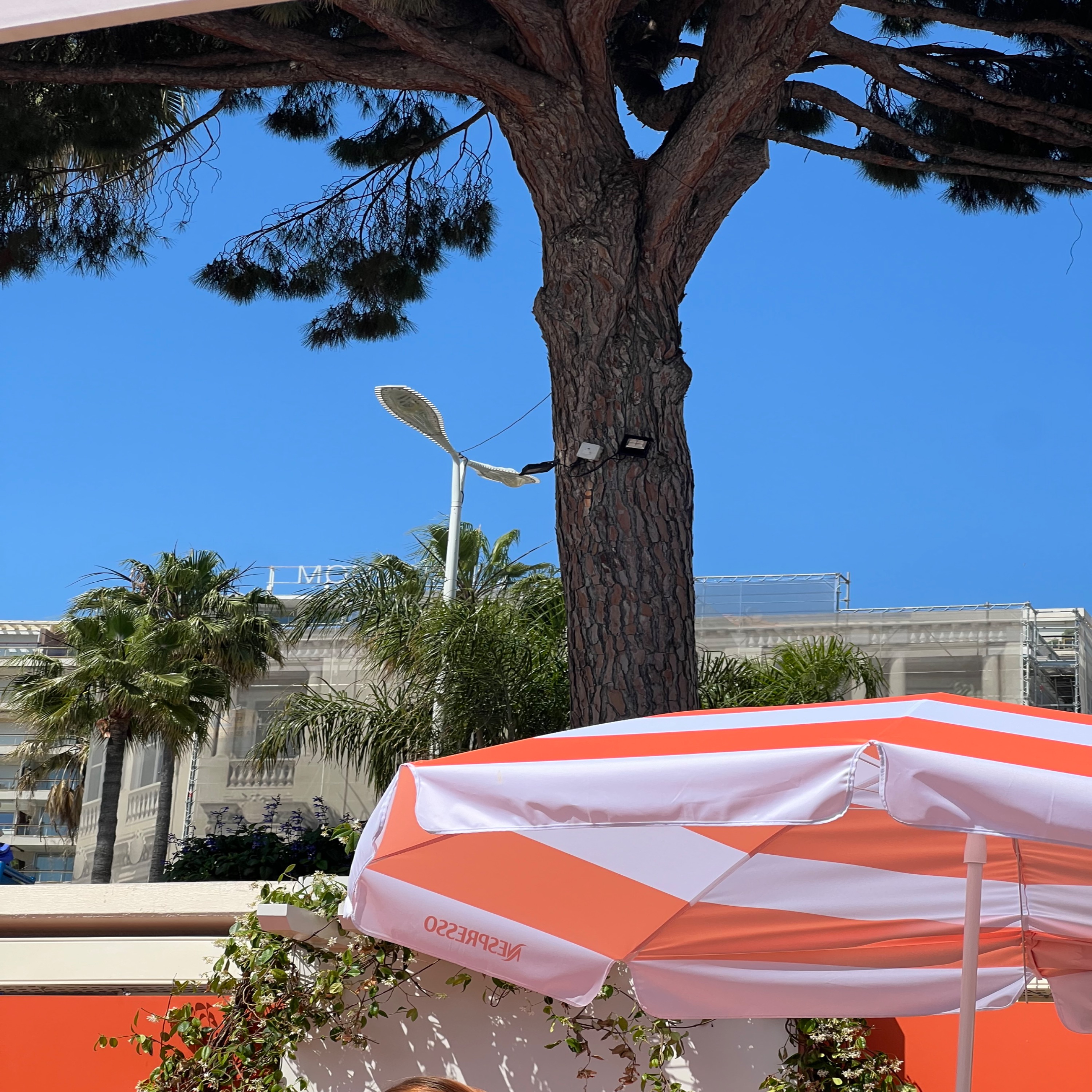 Ma vie au festival de Cannes