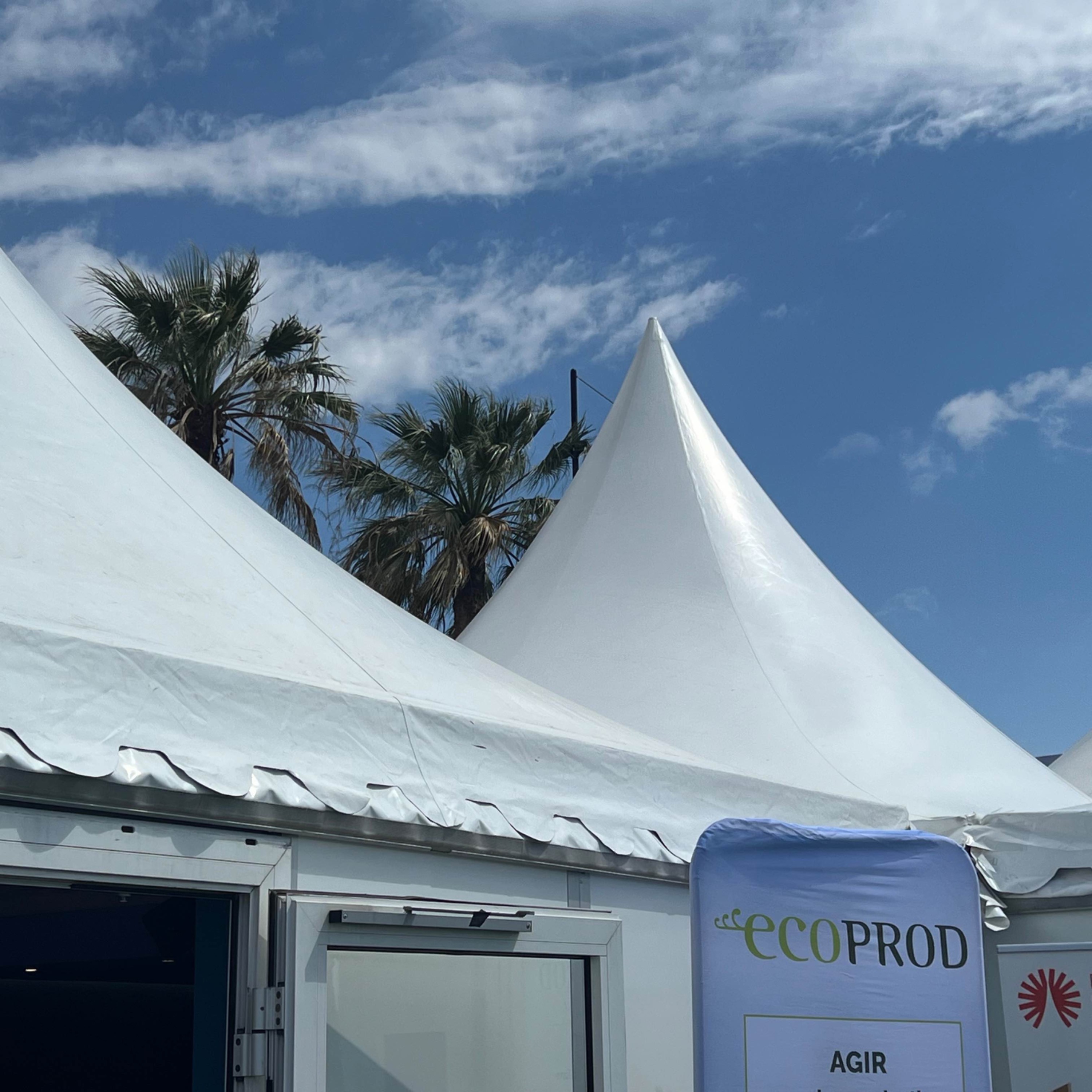 Ma vie au festival de Cannes