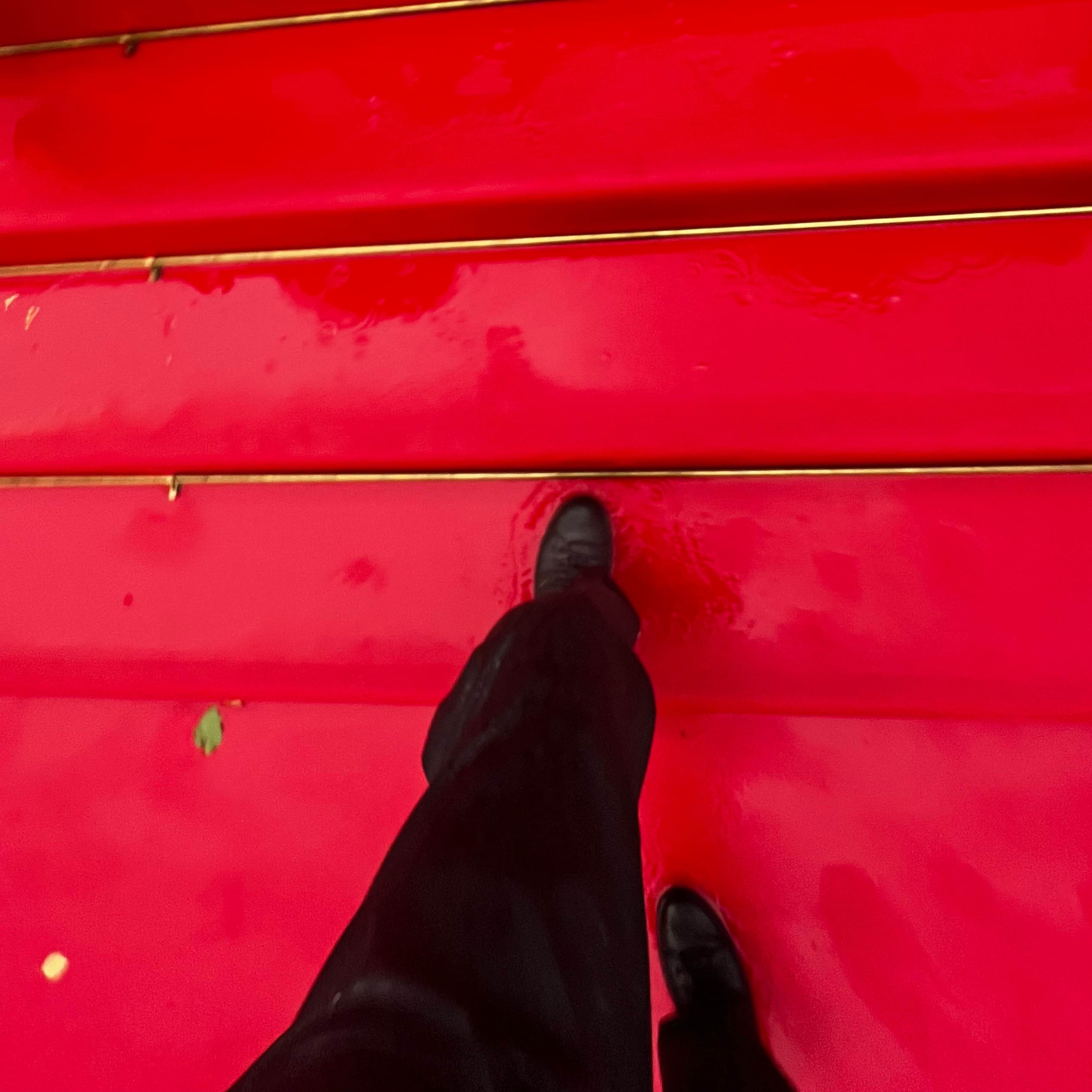 Ma vie au festival de Cannes