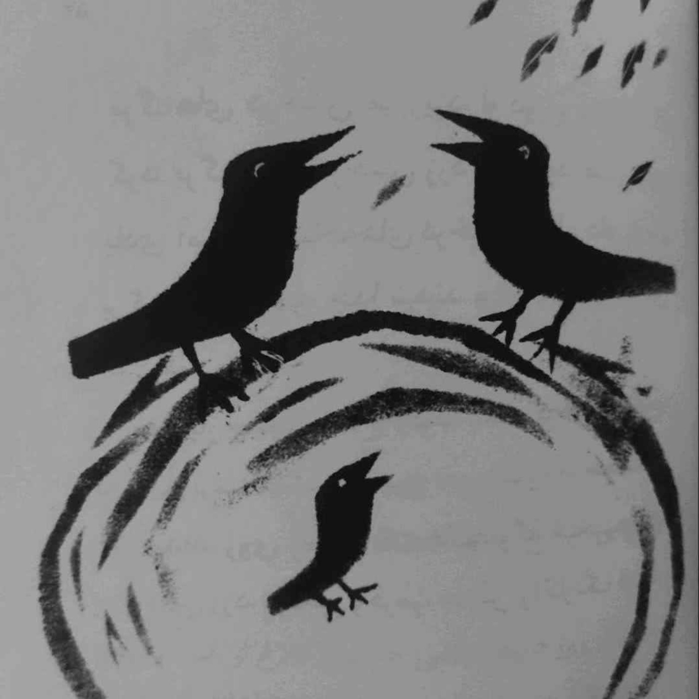 چی چی کلاغ فصل ۵