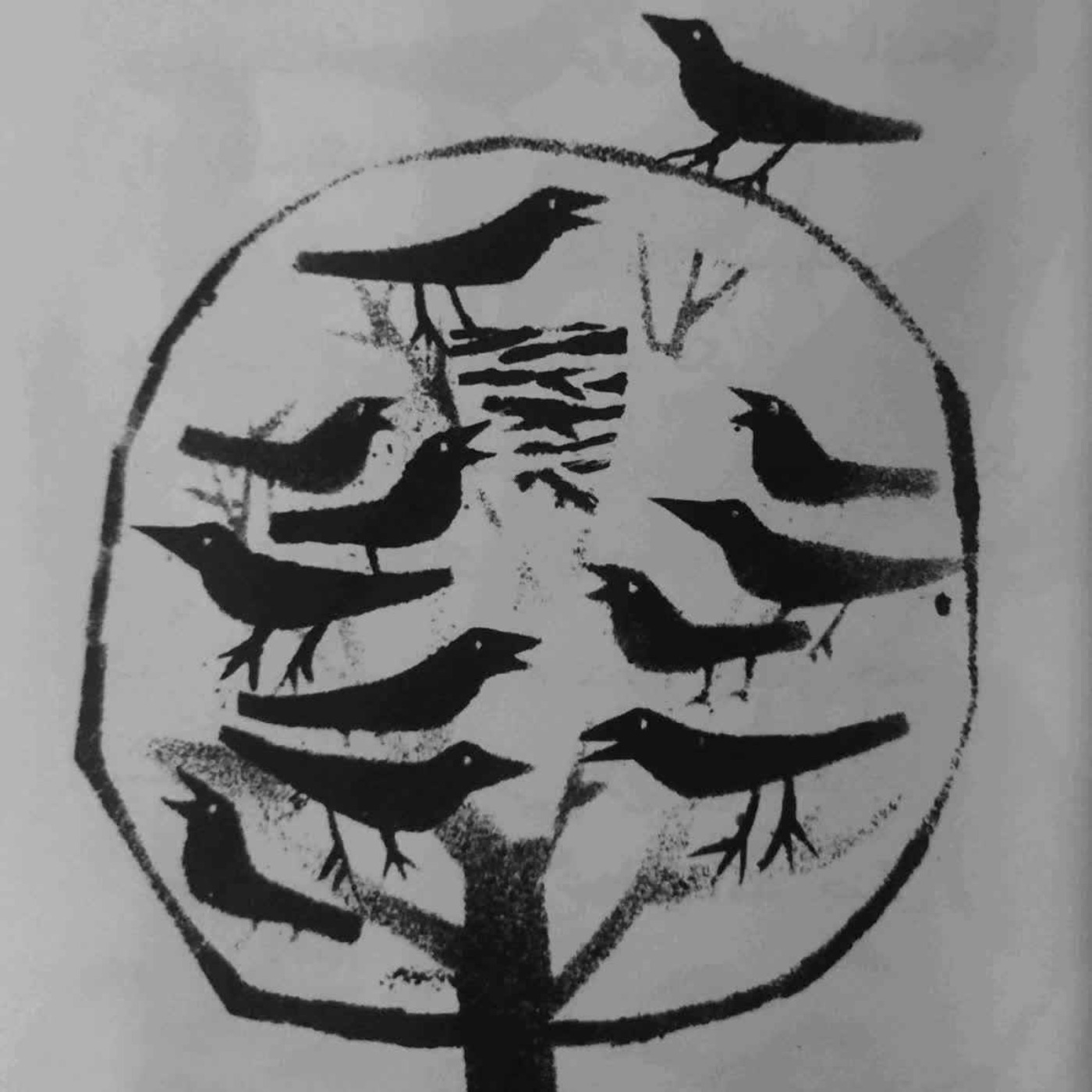 چی چی کلاغ فصل ۶