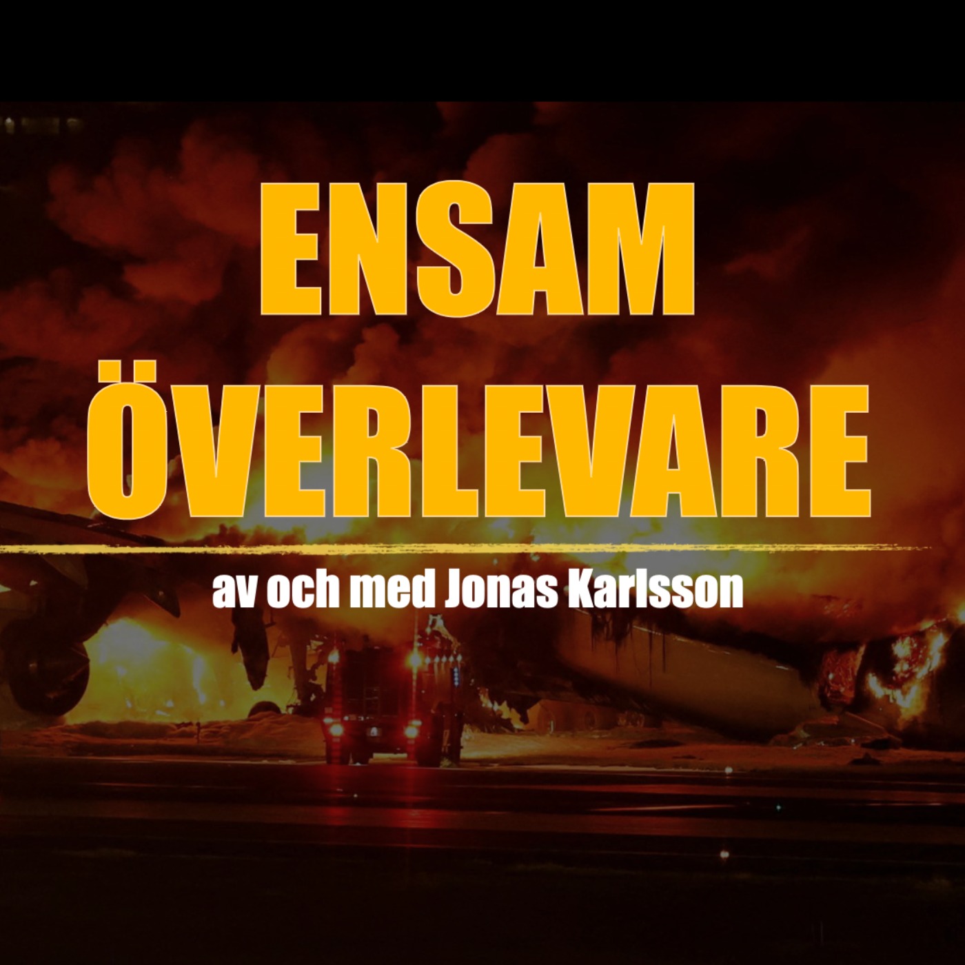 Ensam överlevare, Del 2 episode artwork