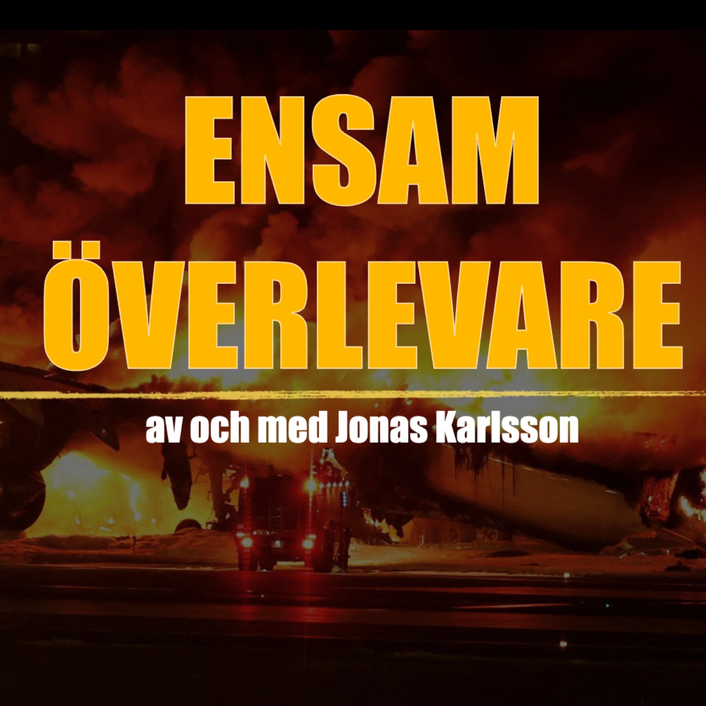 Ensam Överlevare, Del 1 episode artwork