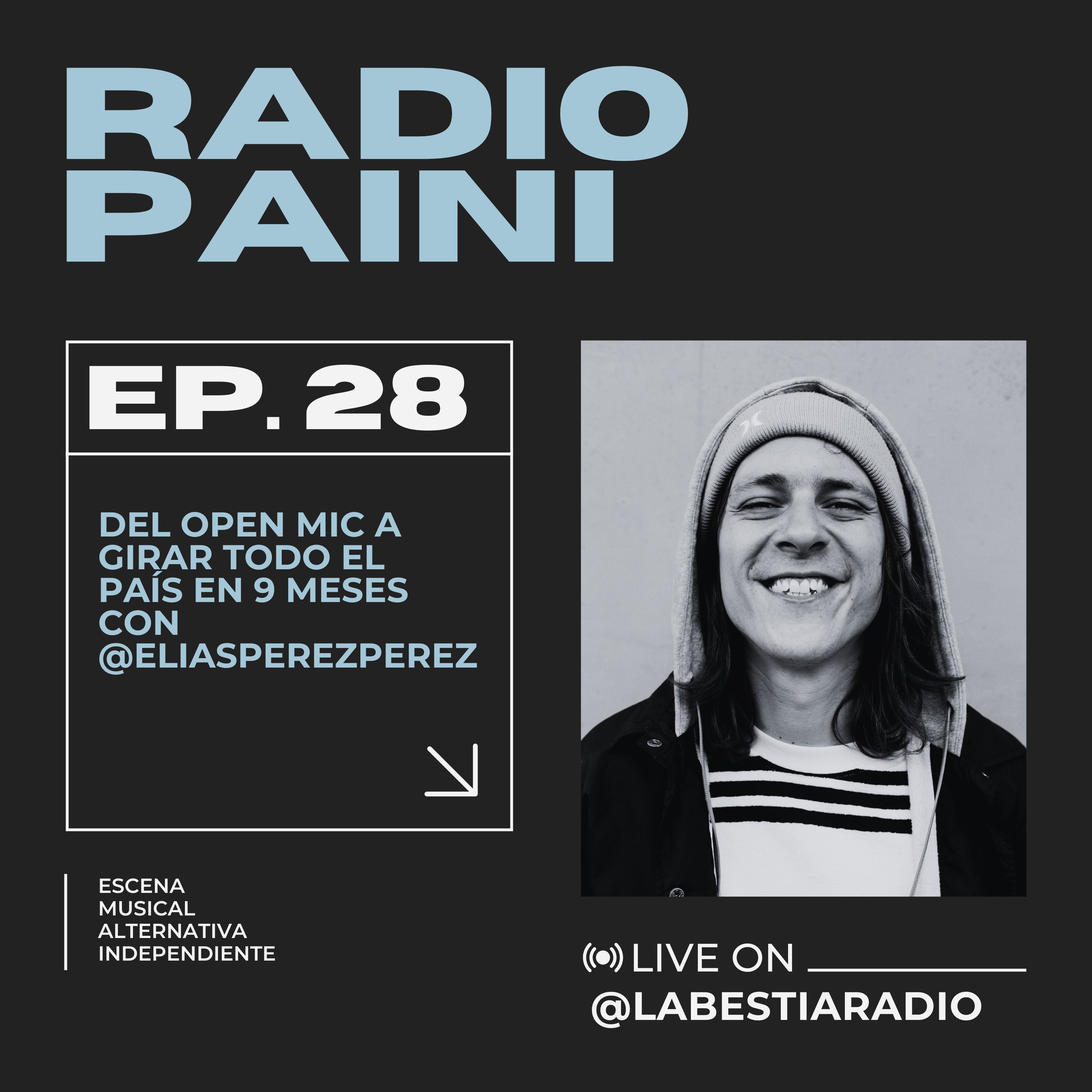 Radio Paini