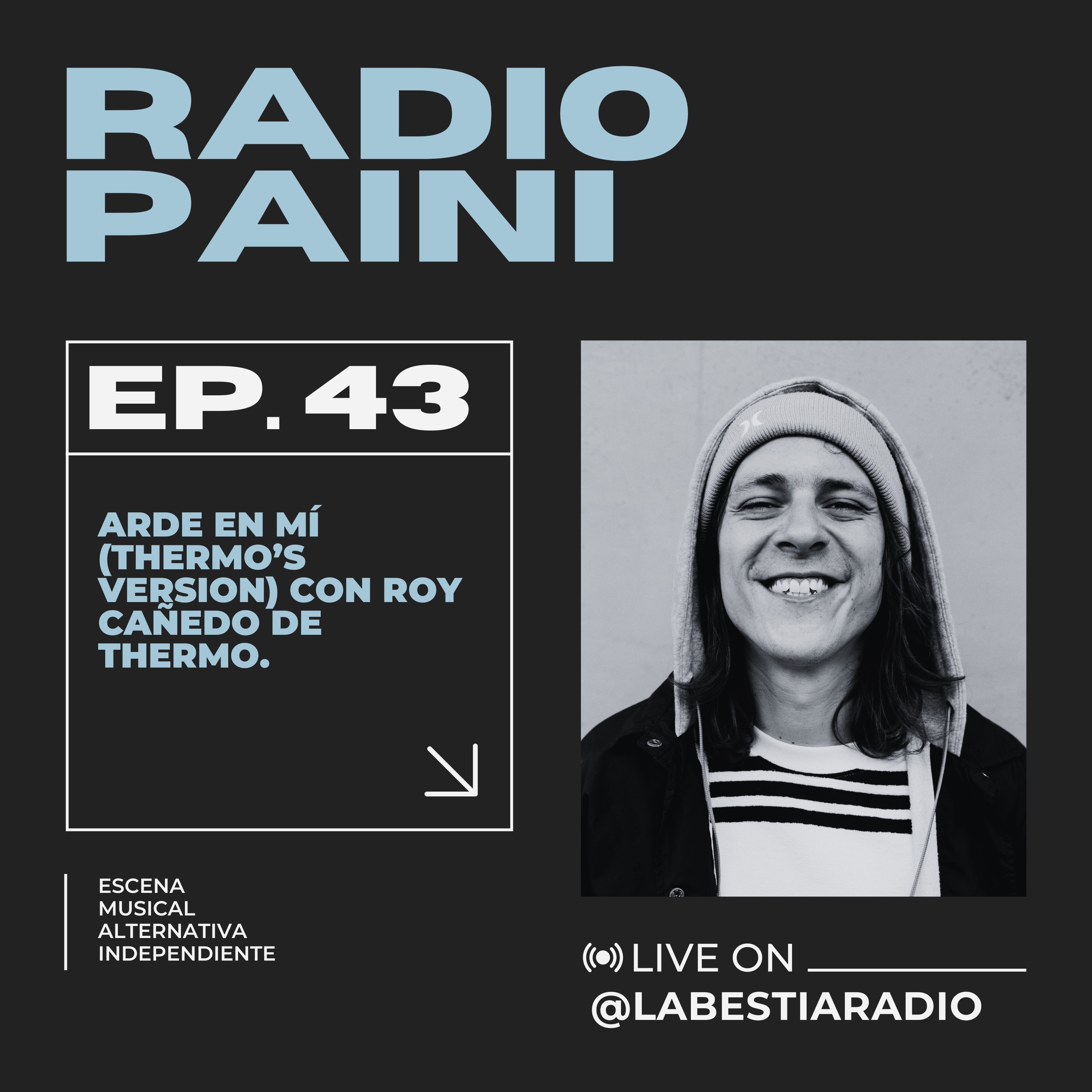 Radio Paini
