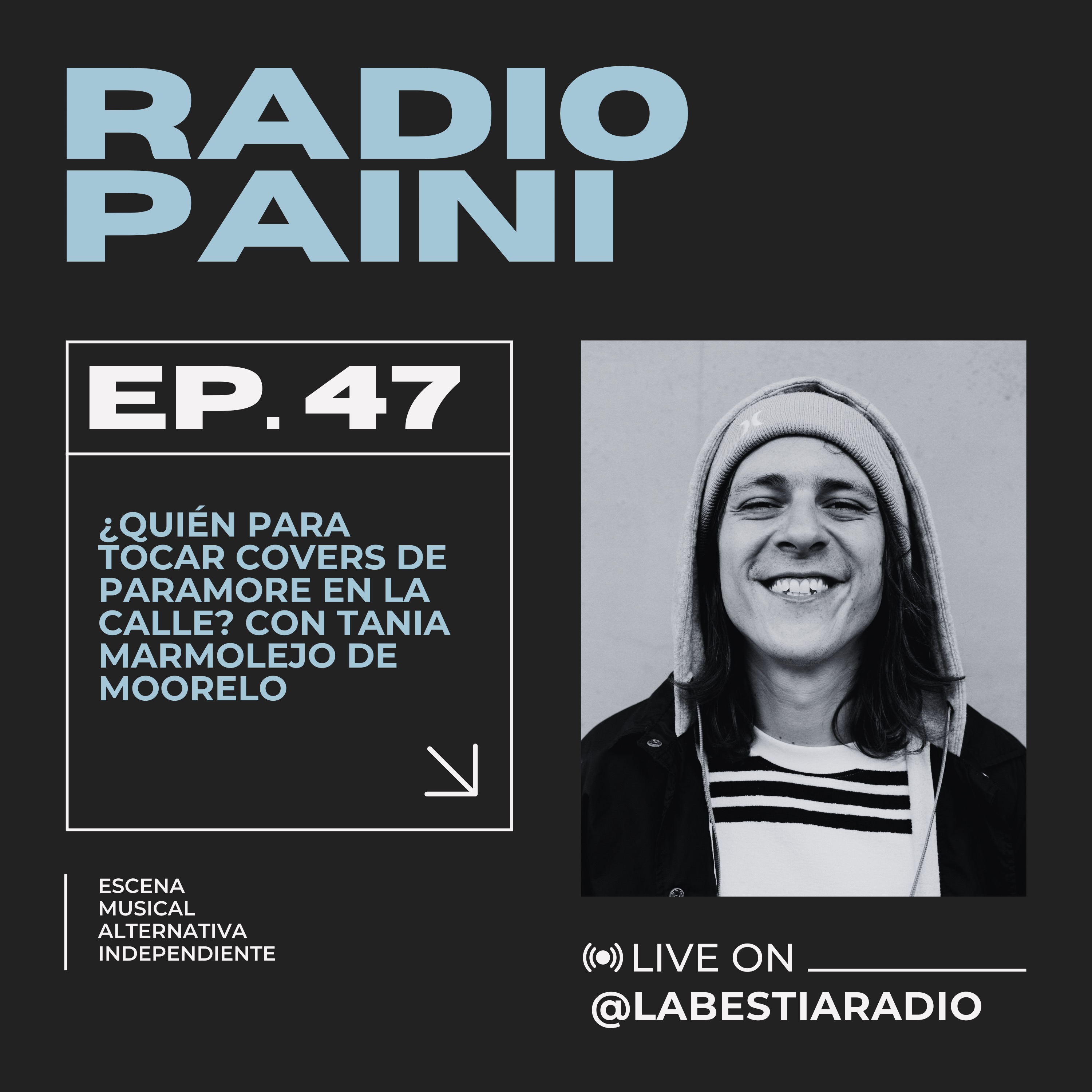 Radio Paini