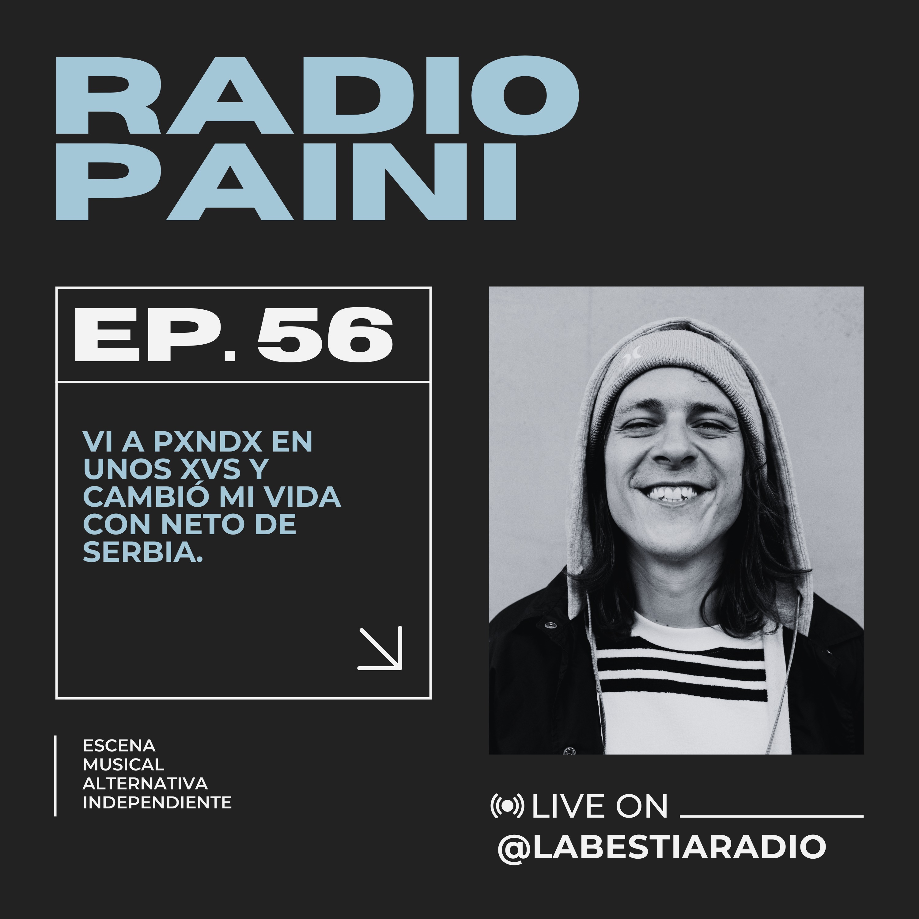 Radio Paini