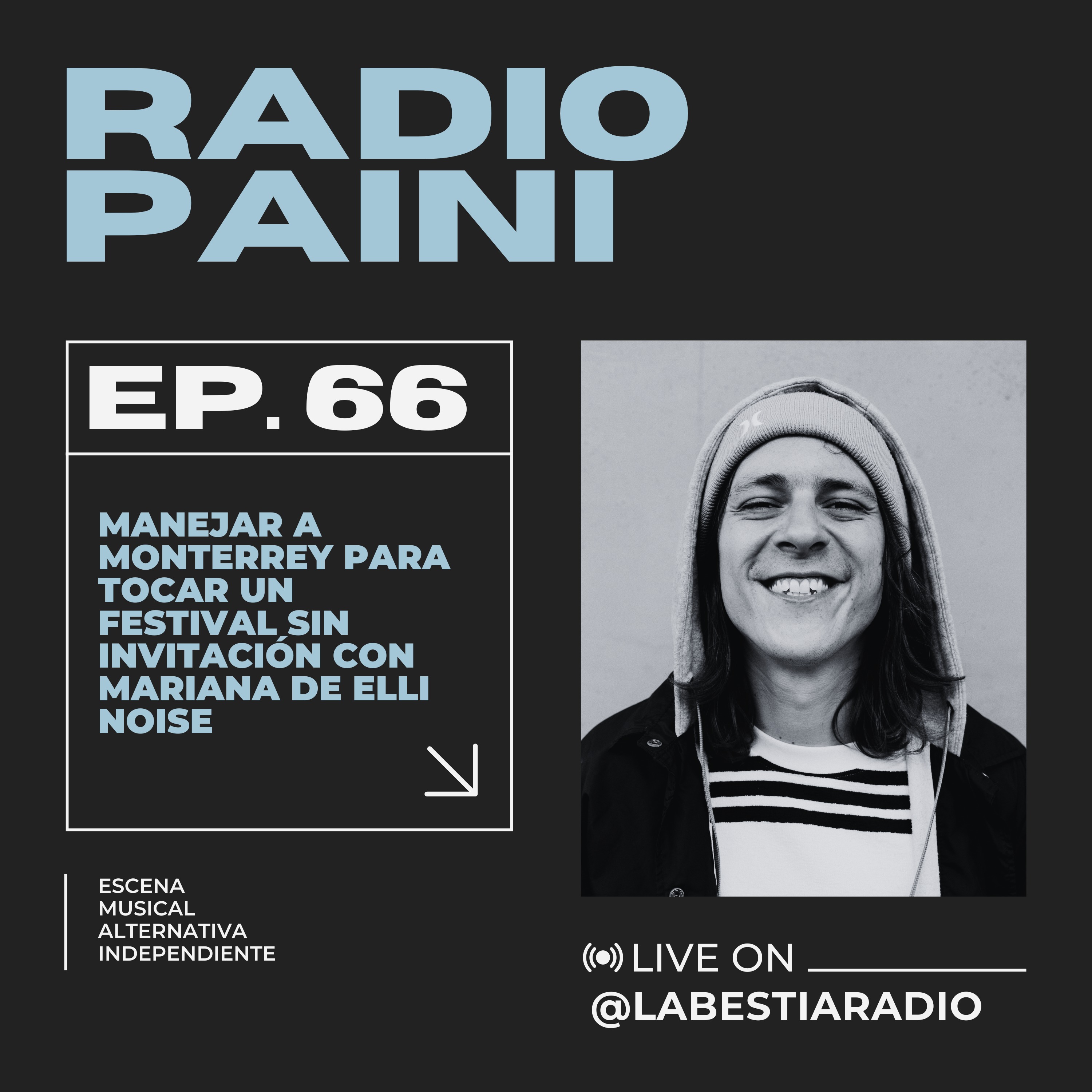 Radio Paini
