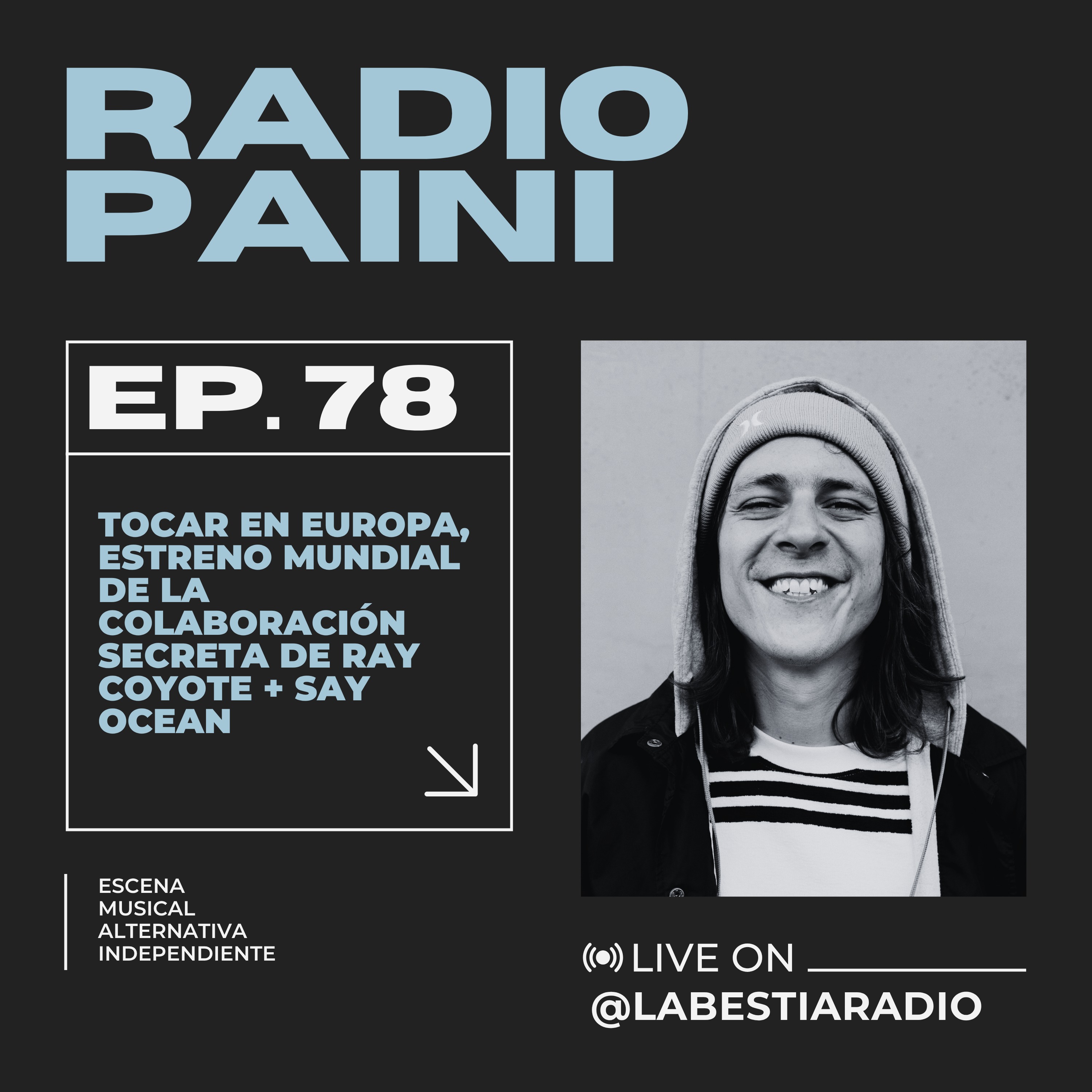 Radio Paini