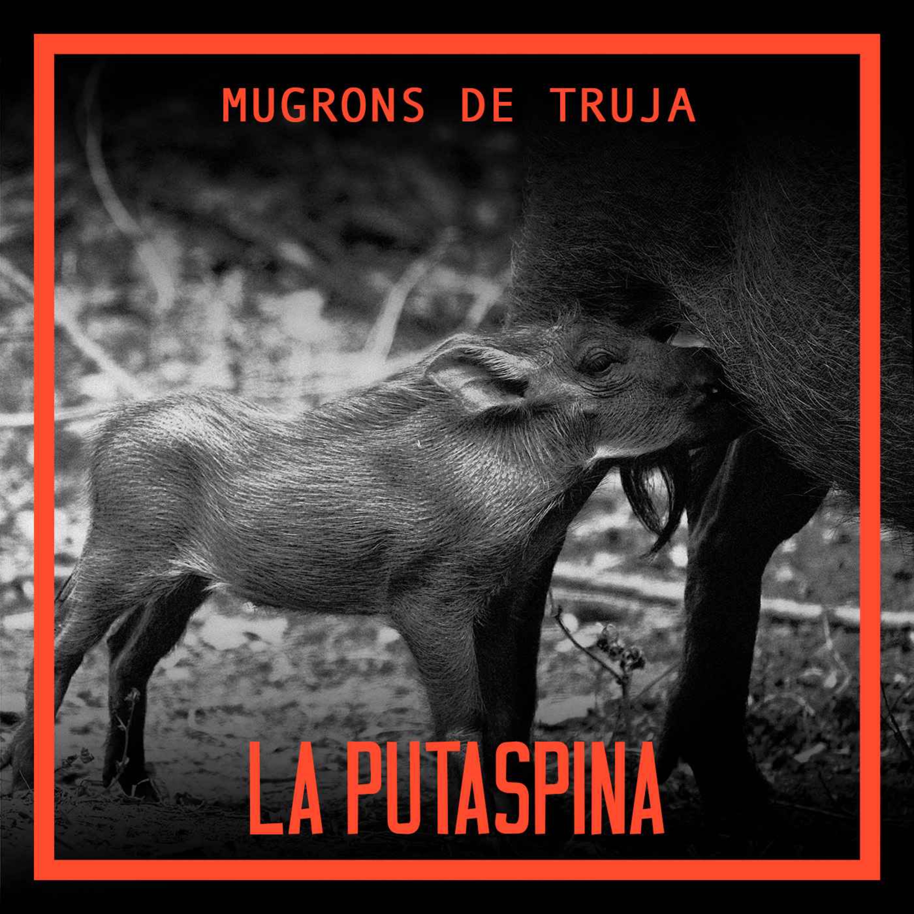 Caràtula