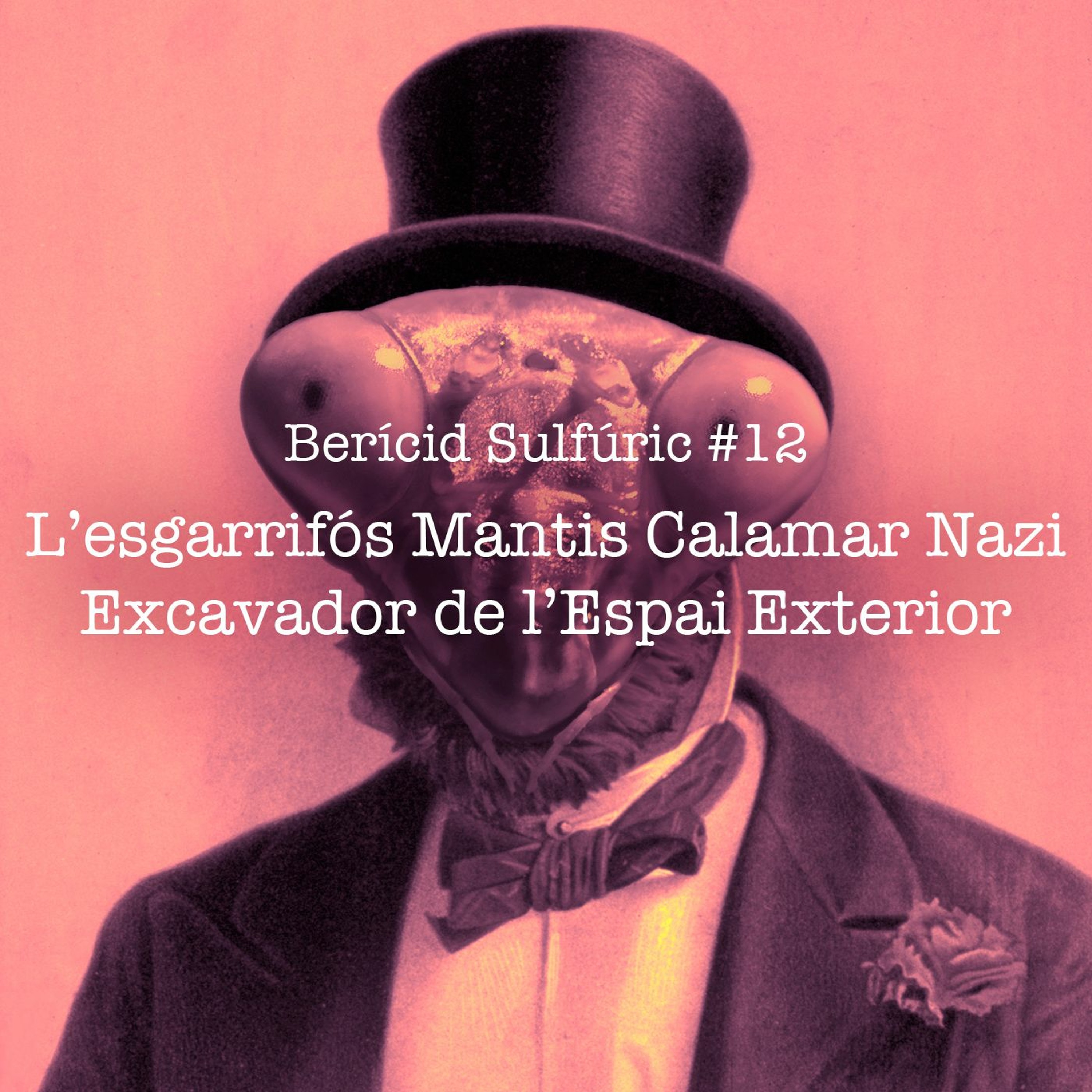 Berícid Sulfúric
