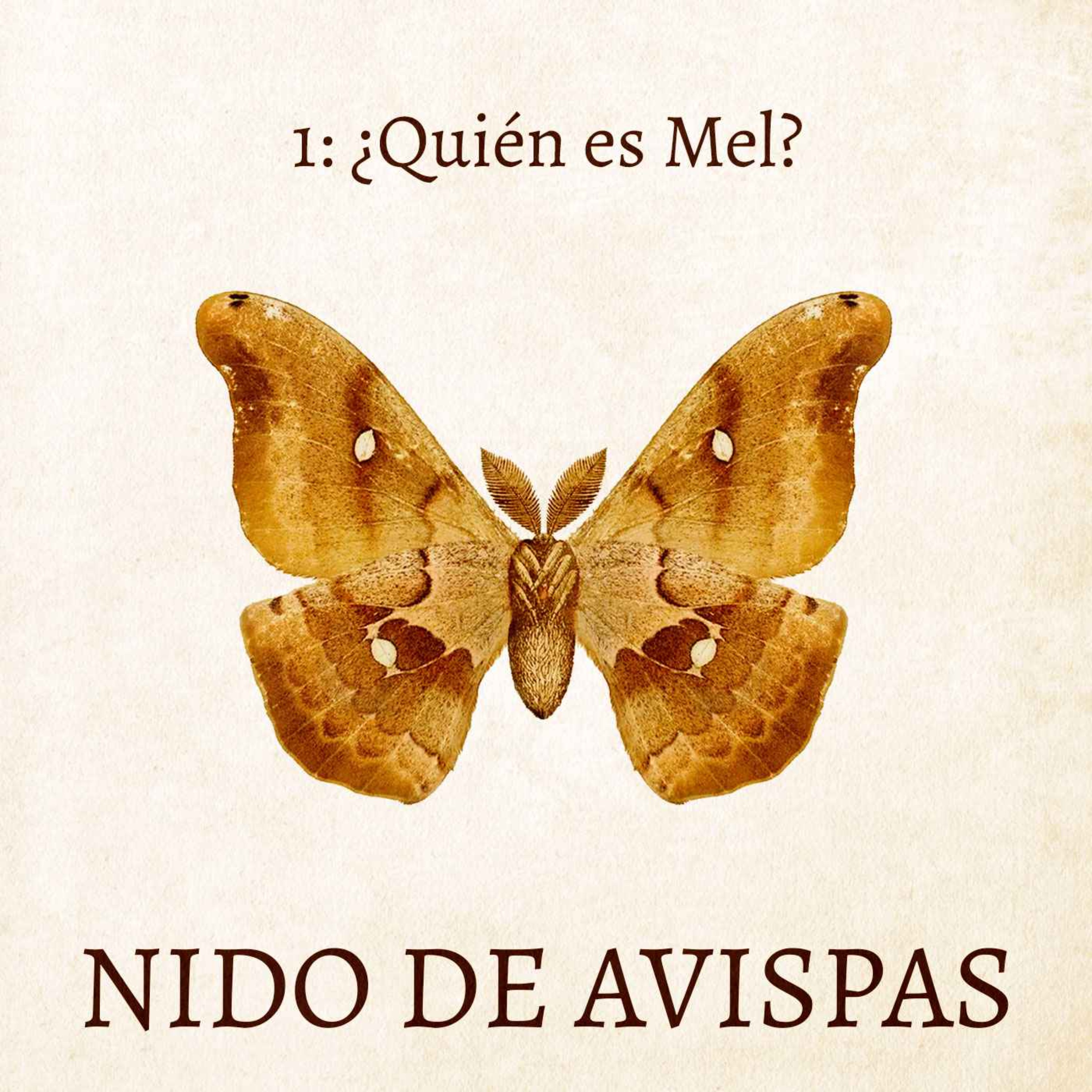 Nido de Avispas