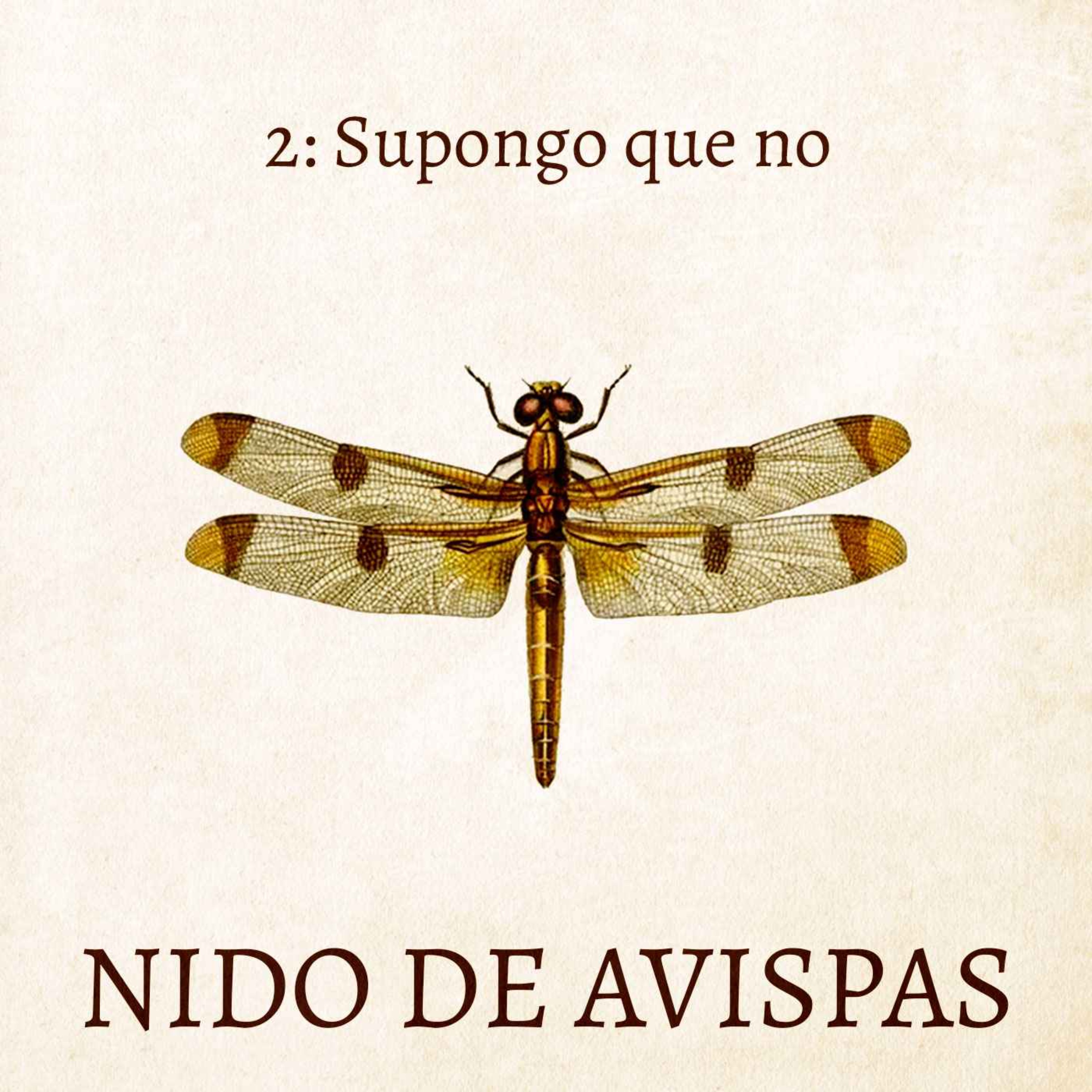 Nido de Avispas