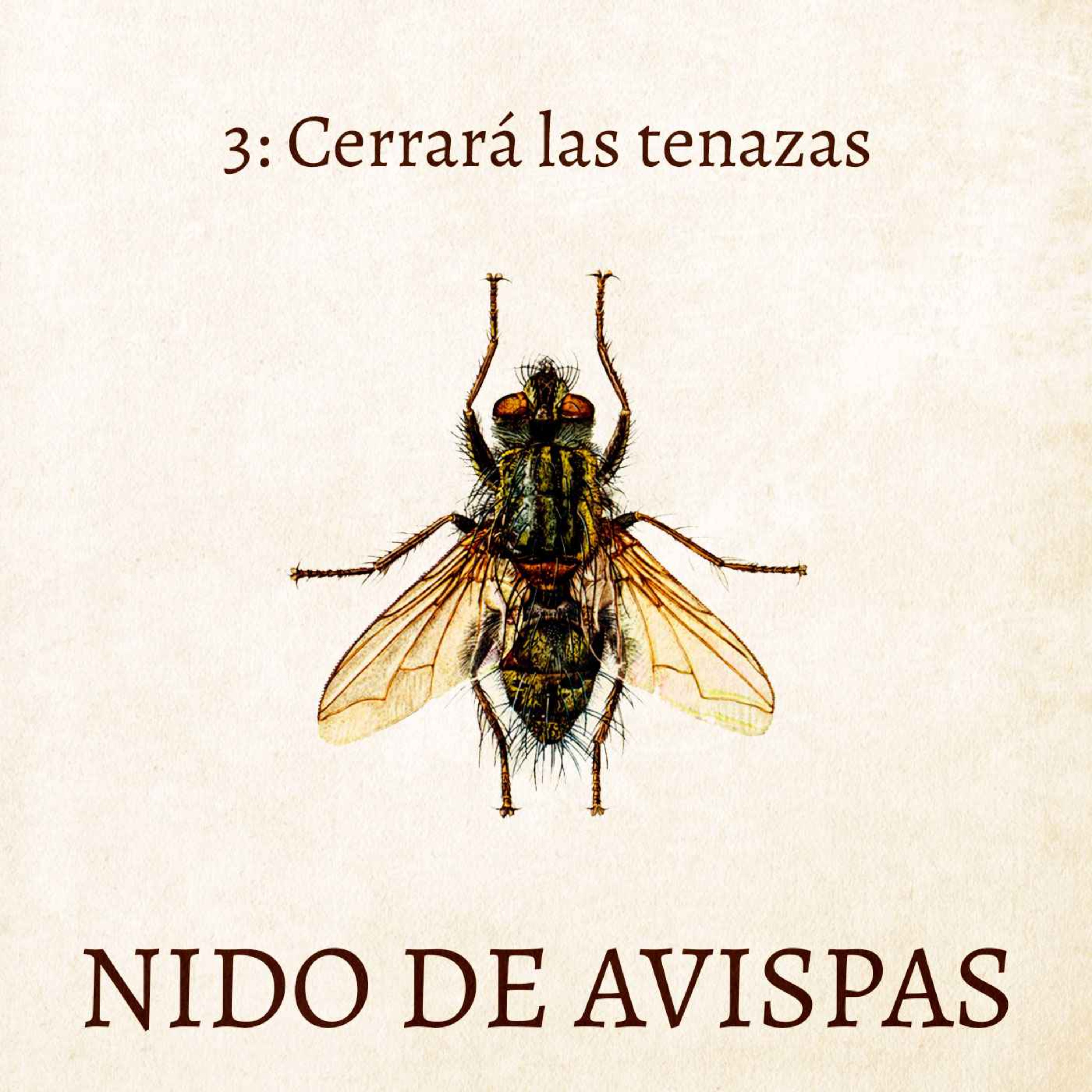 Nido de Avispas