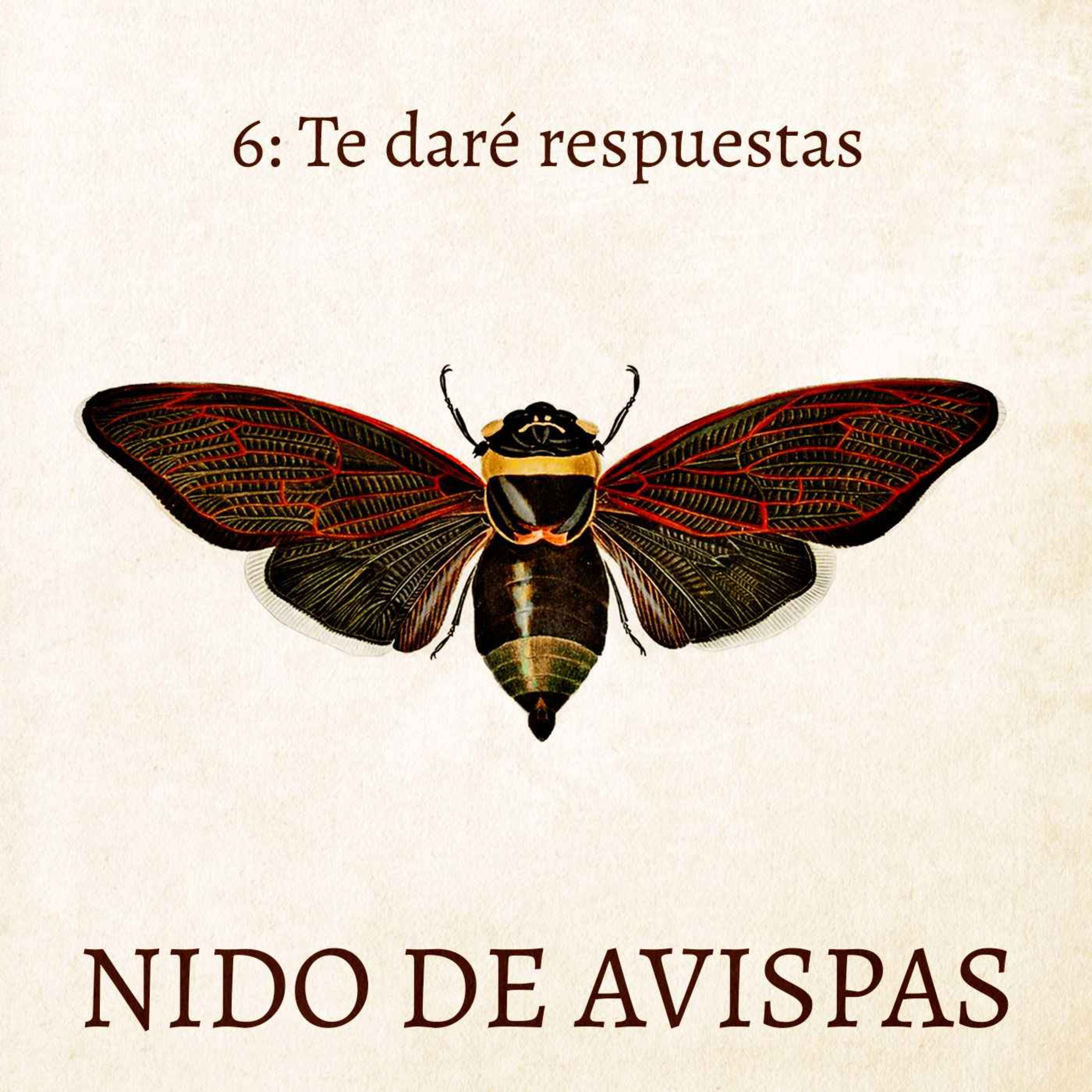 Nido de Avispas