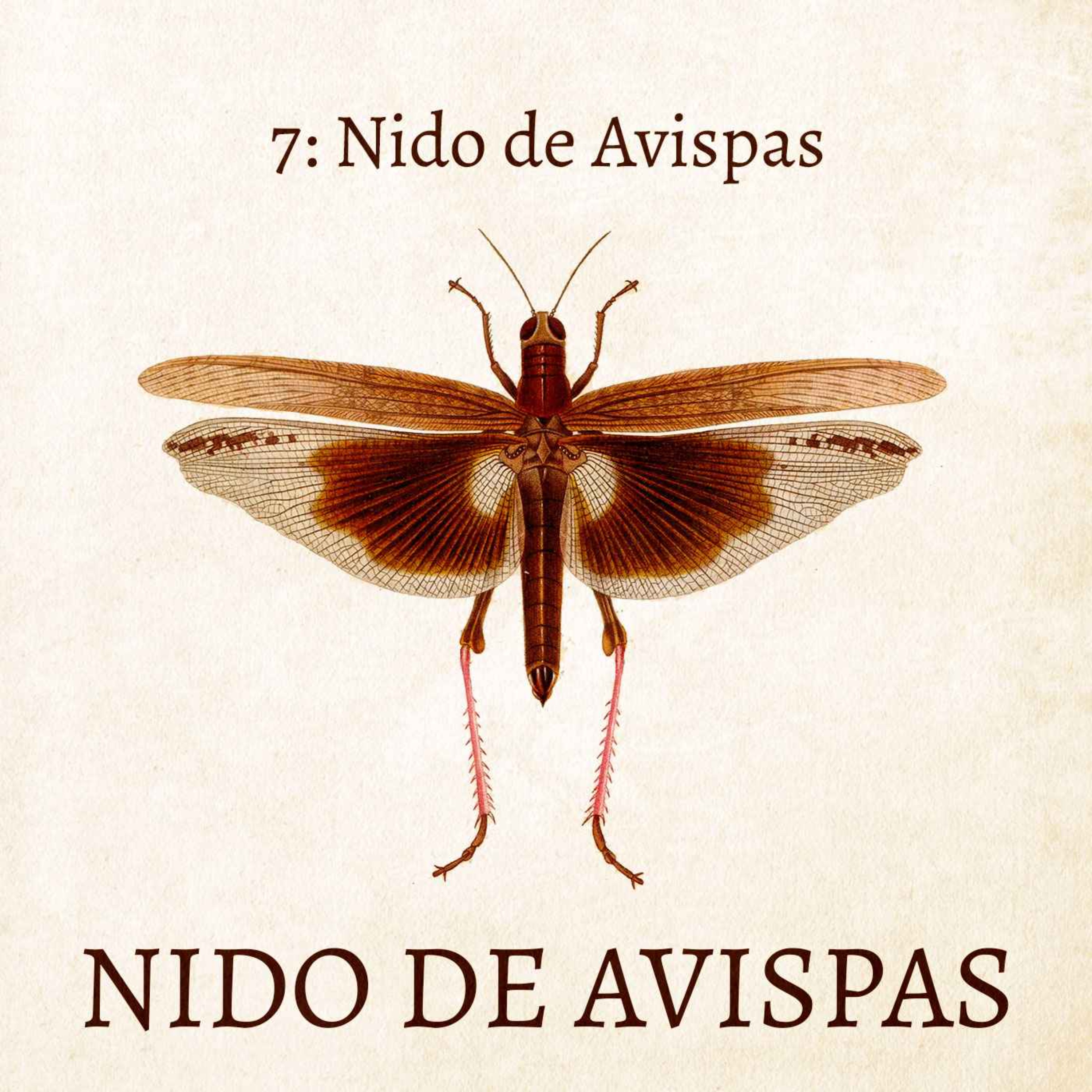 Nido de Avispas