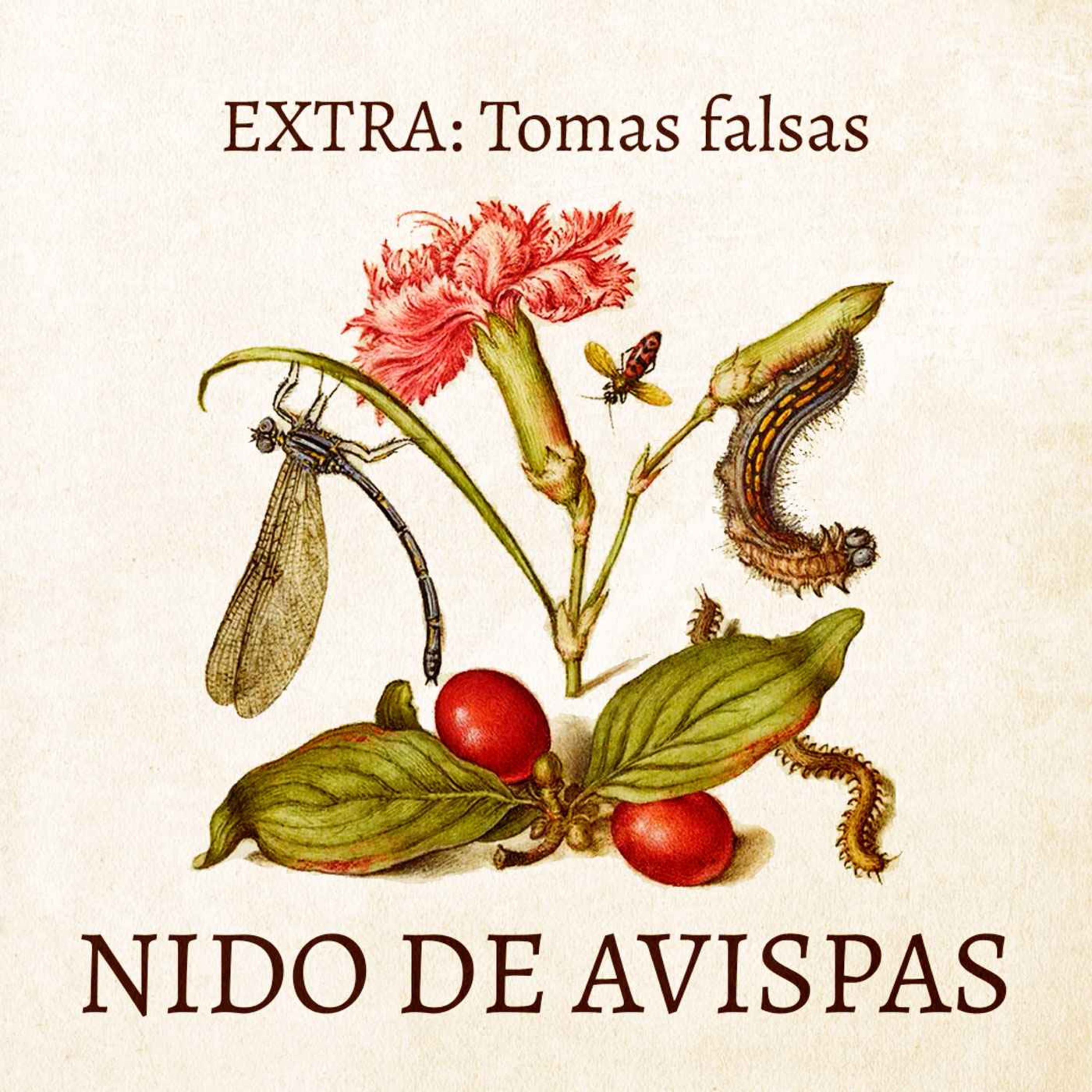 Extra – Tomas falsas episode artwork