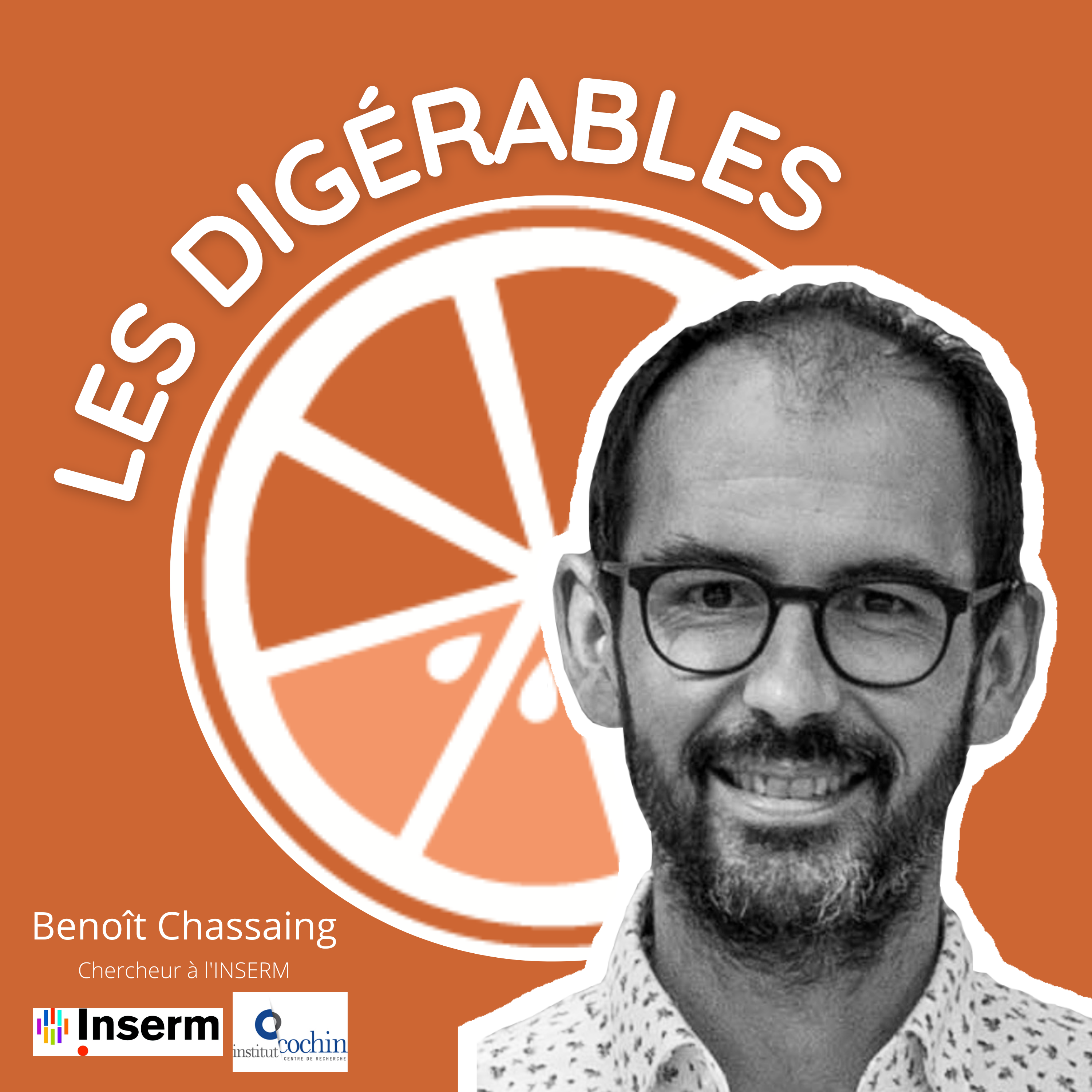 Les Digérables