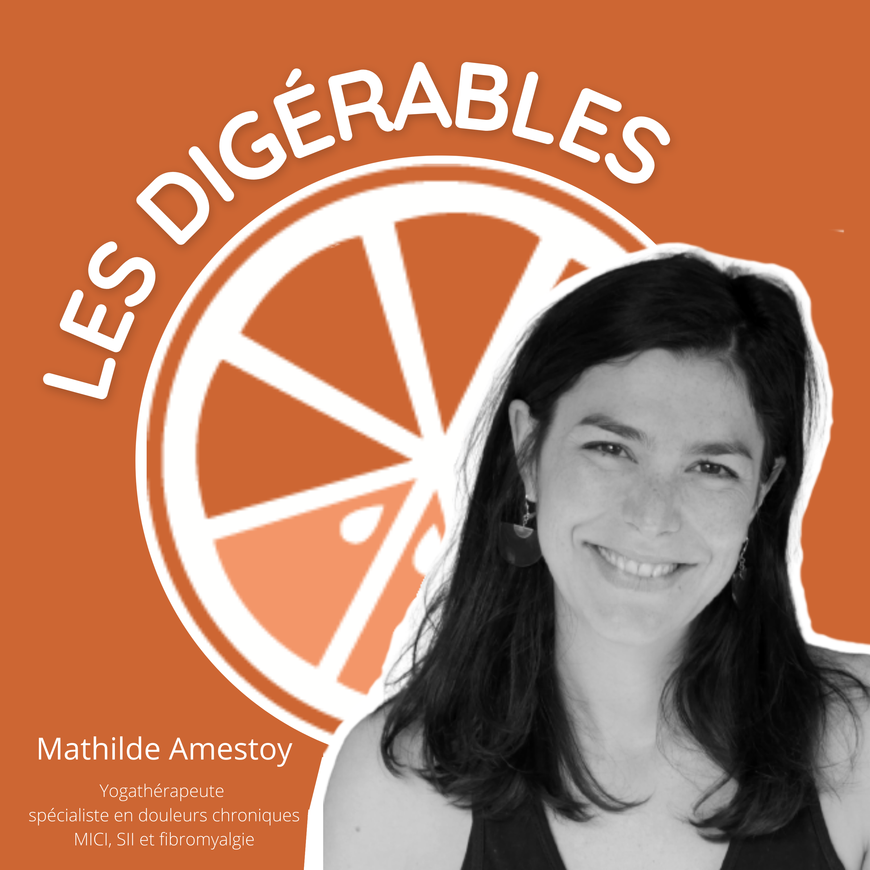 Les Digérables