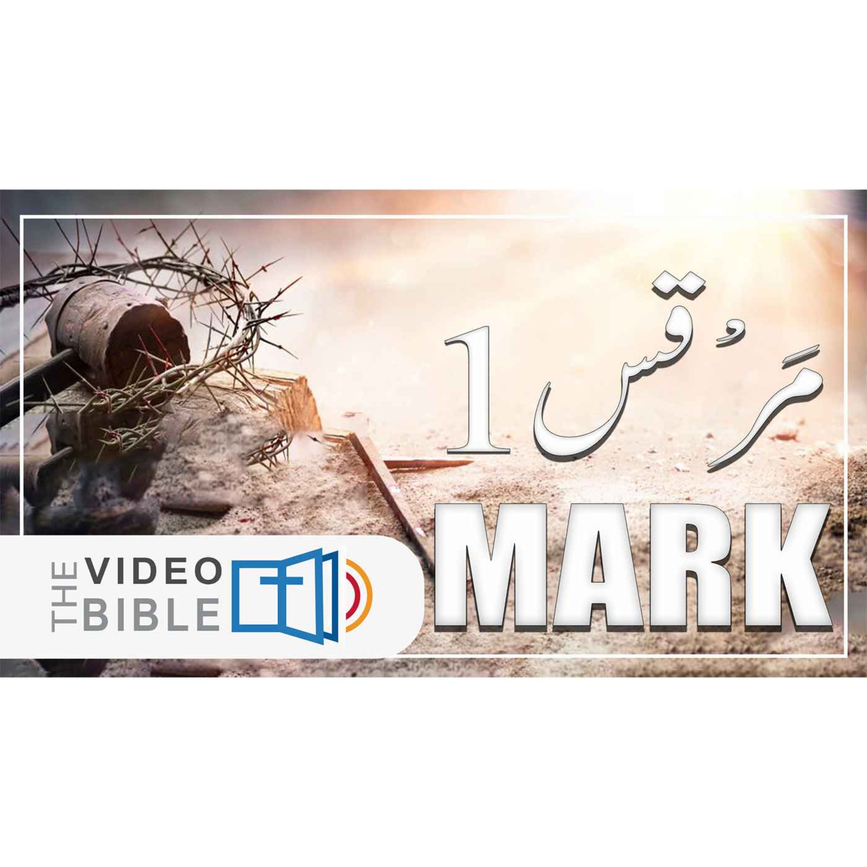 Audio Urdu Bible ( AgapeNow.TV)