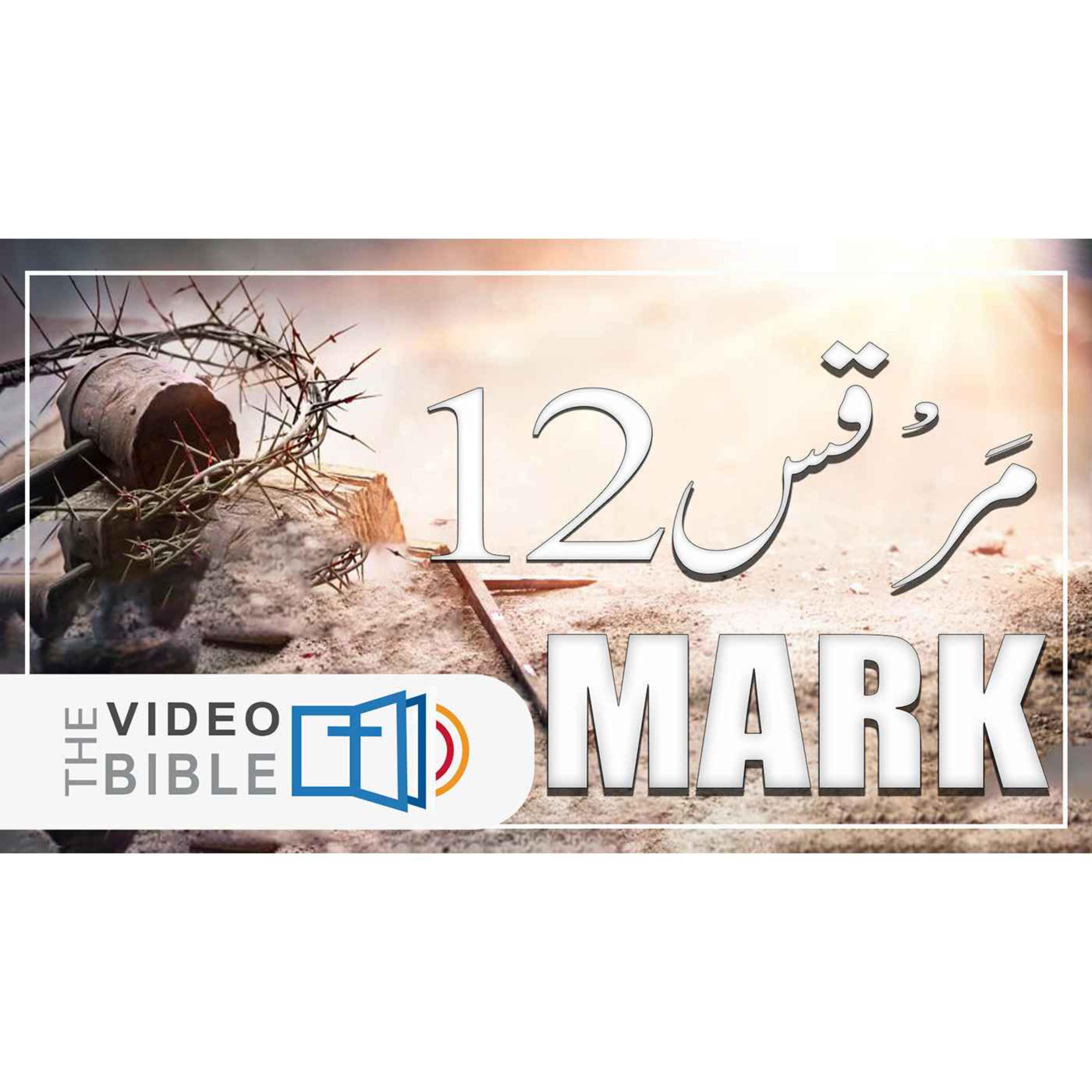 Audio Urdu Bible ( AgapeNow.TV)