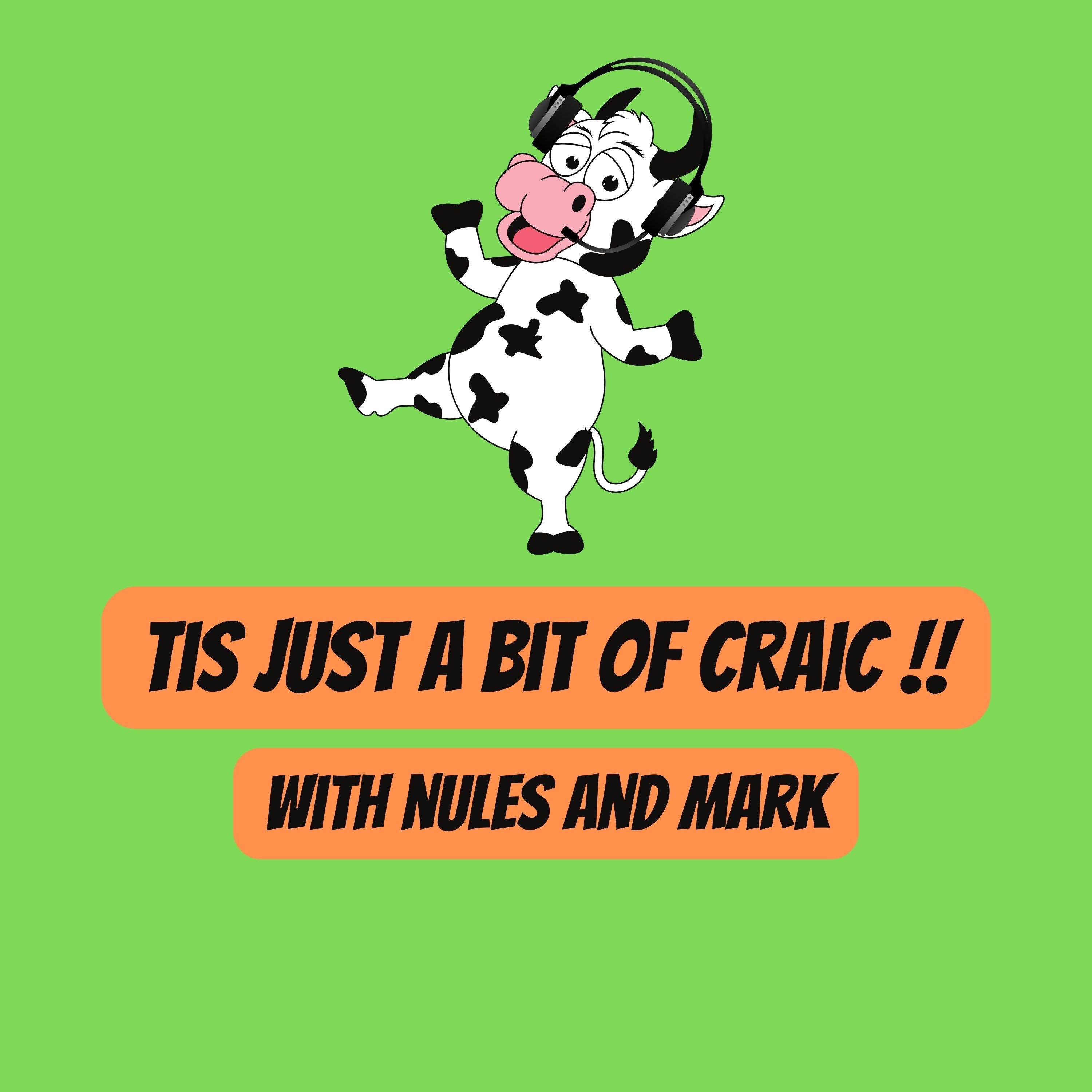 Tis Just A Bit Of Craic
