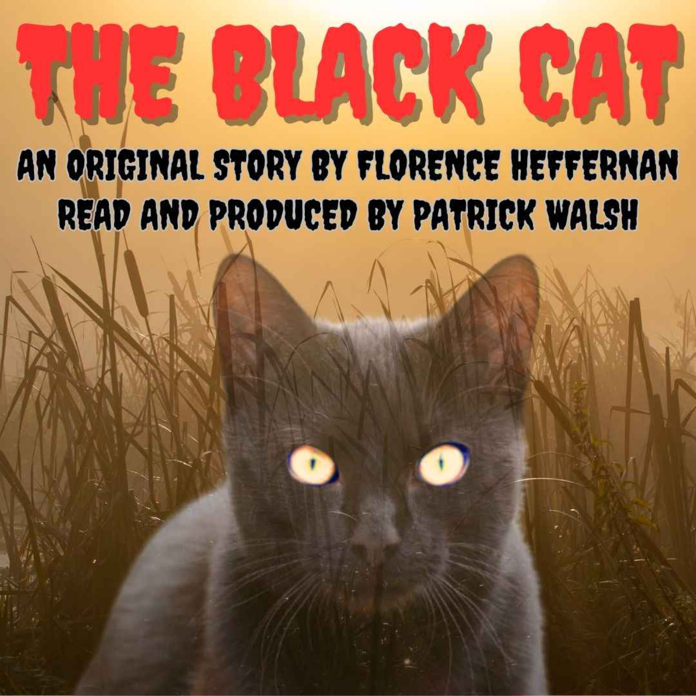 The Black Cat