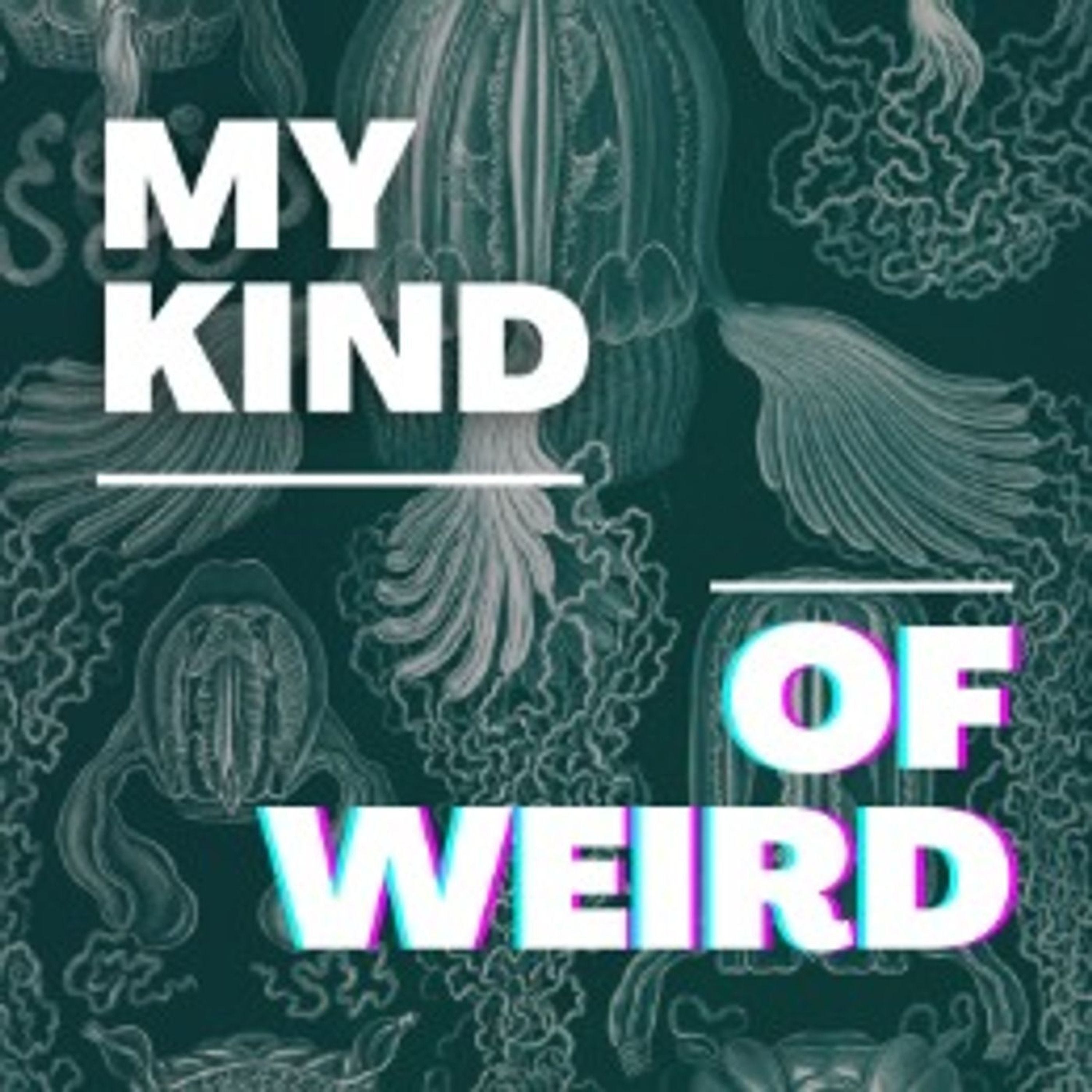 My Kind Of Weird