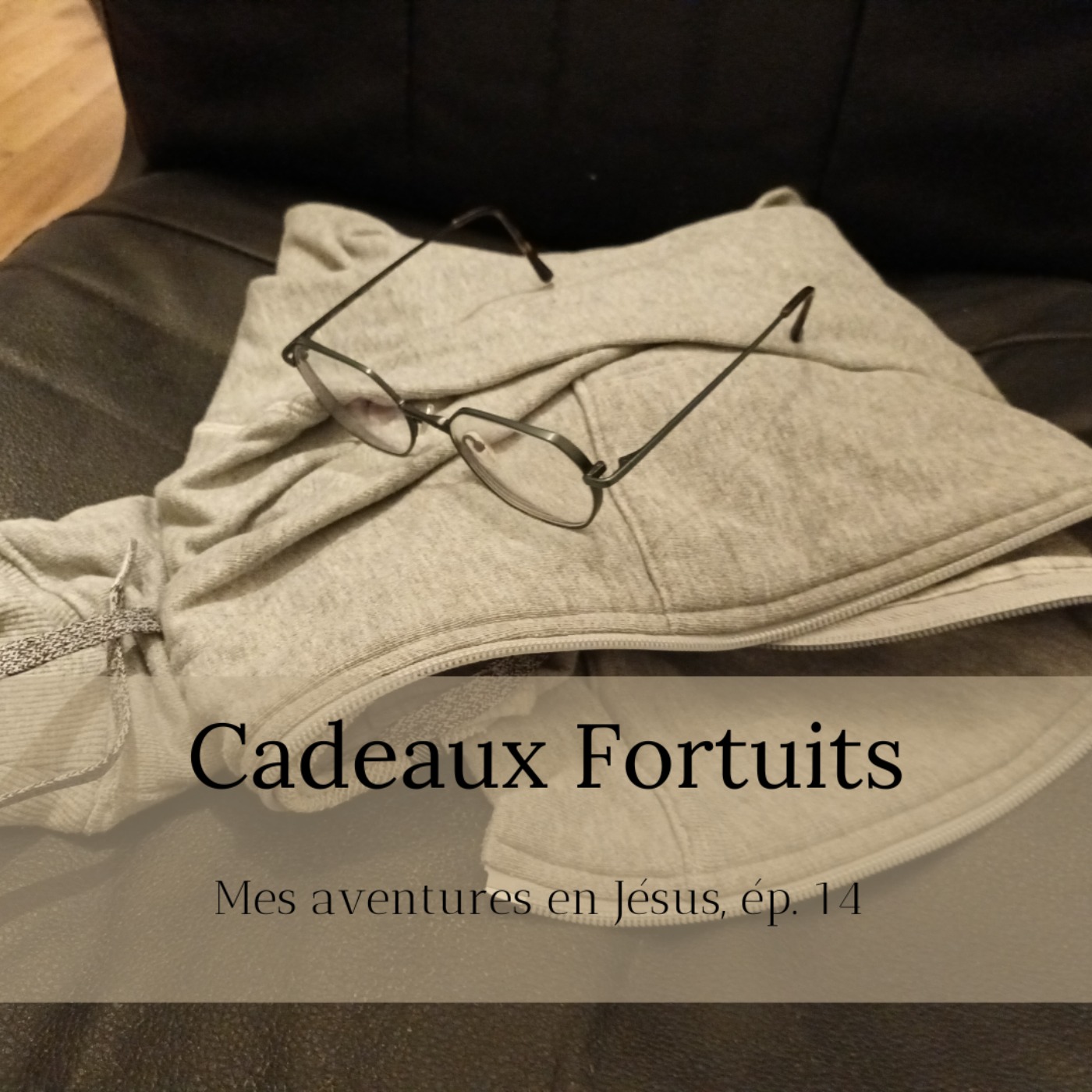 Mes aventures en Jésus