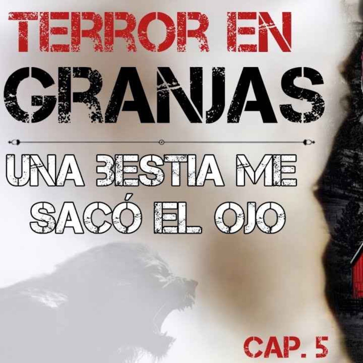 EL MAQUINISTA RELATOS DE TERROR