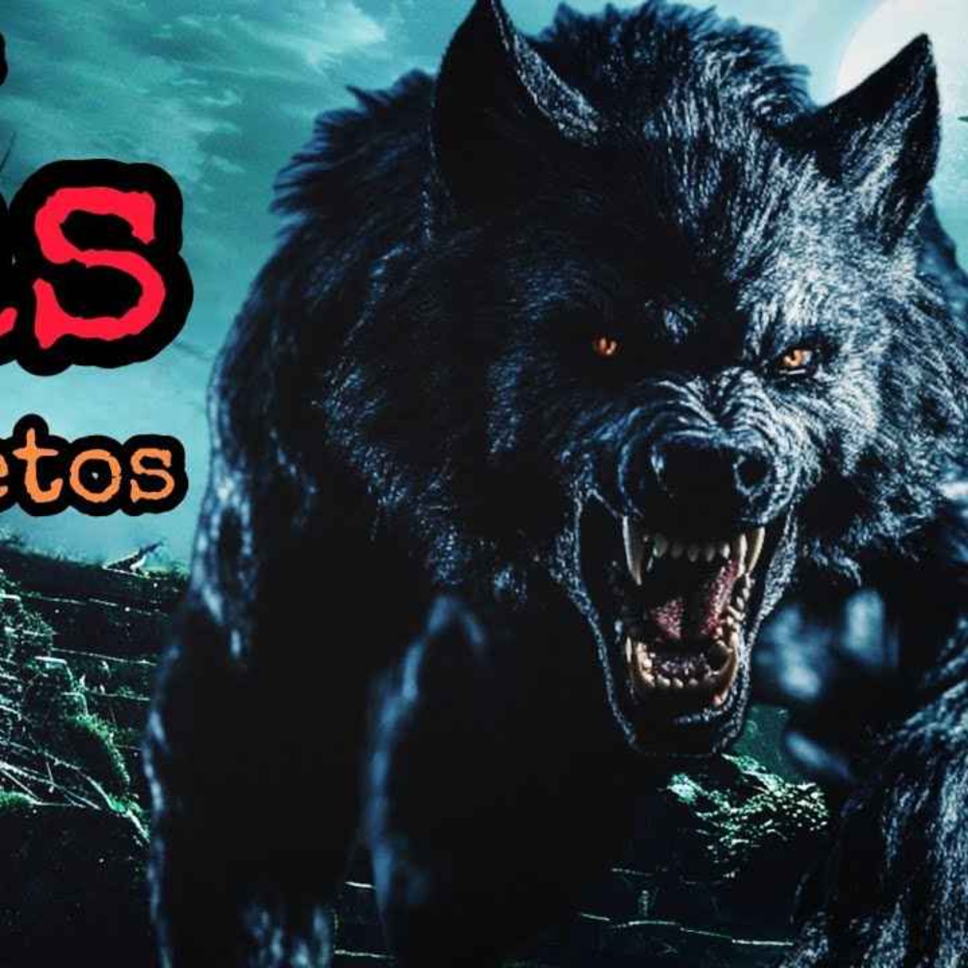 EL MAQUINISTA RELATOS DE TERROR