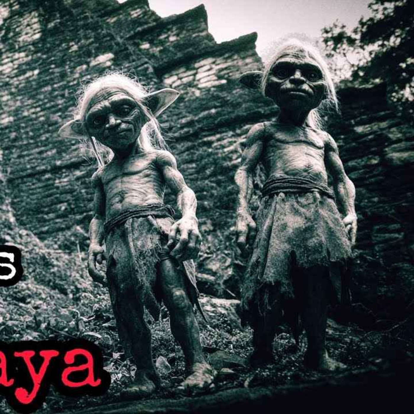 QUISIMOS FILMAR LAS RUINAS Y FUIMOS ATACADOS POR ALGO EN EL MONTE MAYA episode artwork