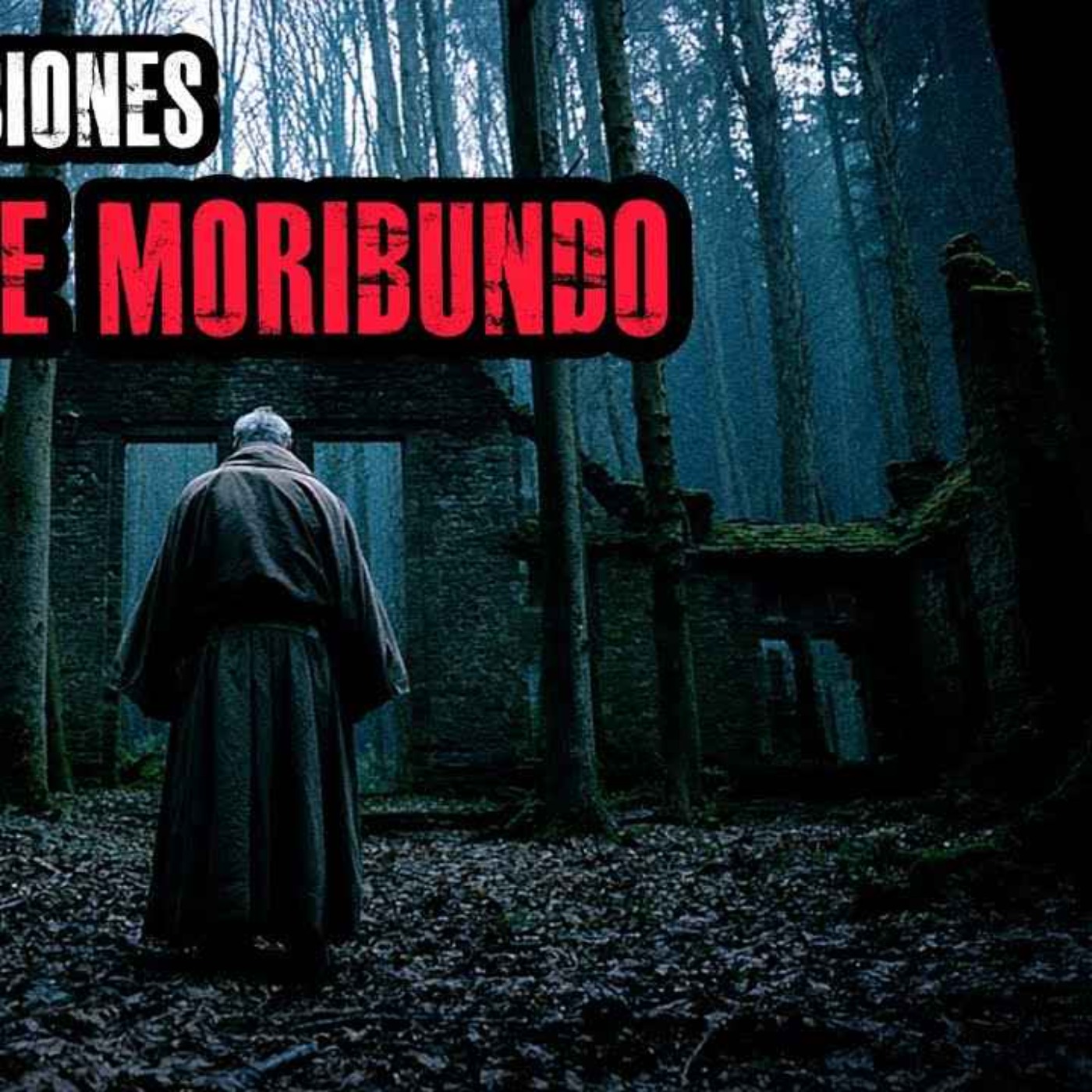 SOY SACERDOTE, LES RECOMIENDO NO TENER FÉ EN LA HUMANIDAD, SI NO ERES SENSIBLE ENTRA Y SABRÁS PORQUÉ episode artwork