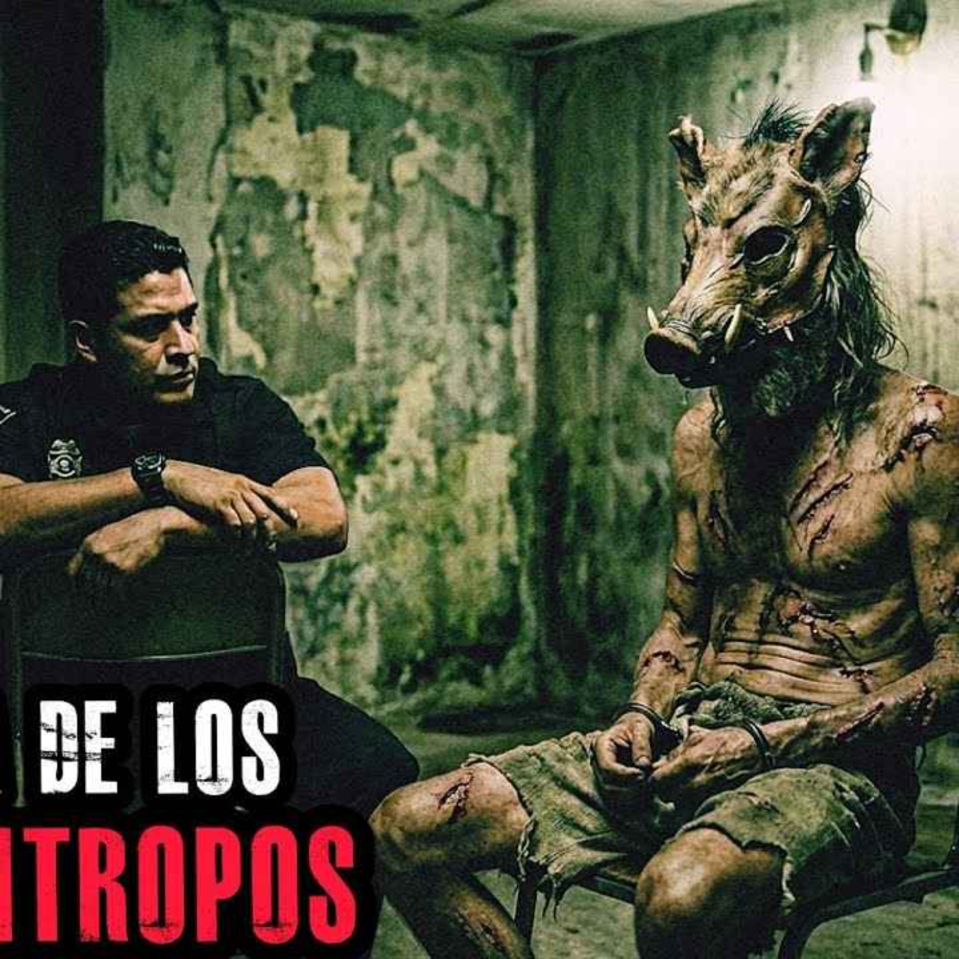 "YO NO ESTOY LOCO, EL LOCO VIVE EN LA CIUDAD COMIENDO BASURA Y SIGUIENDO A SUS LIDERES COMO BORREGOS