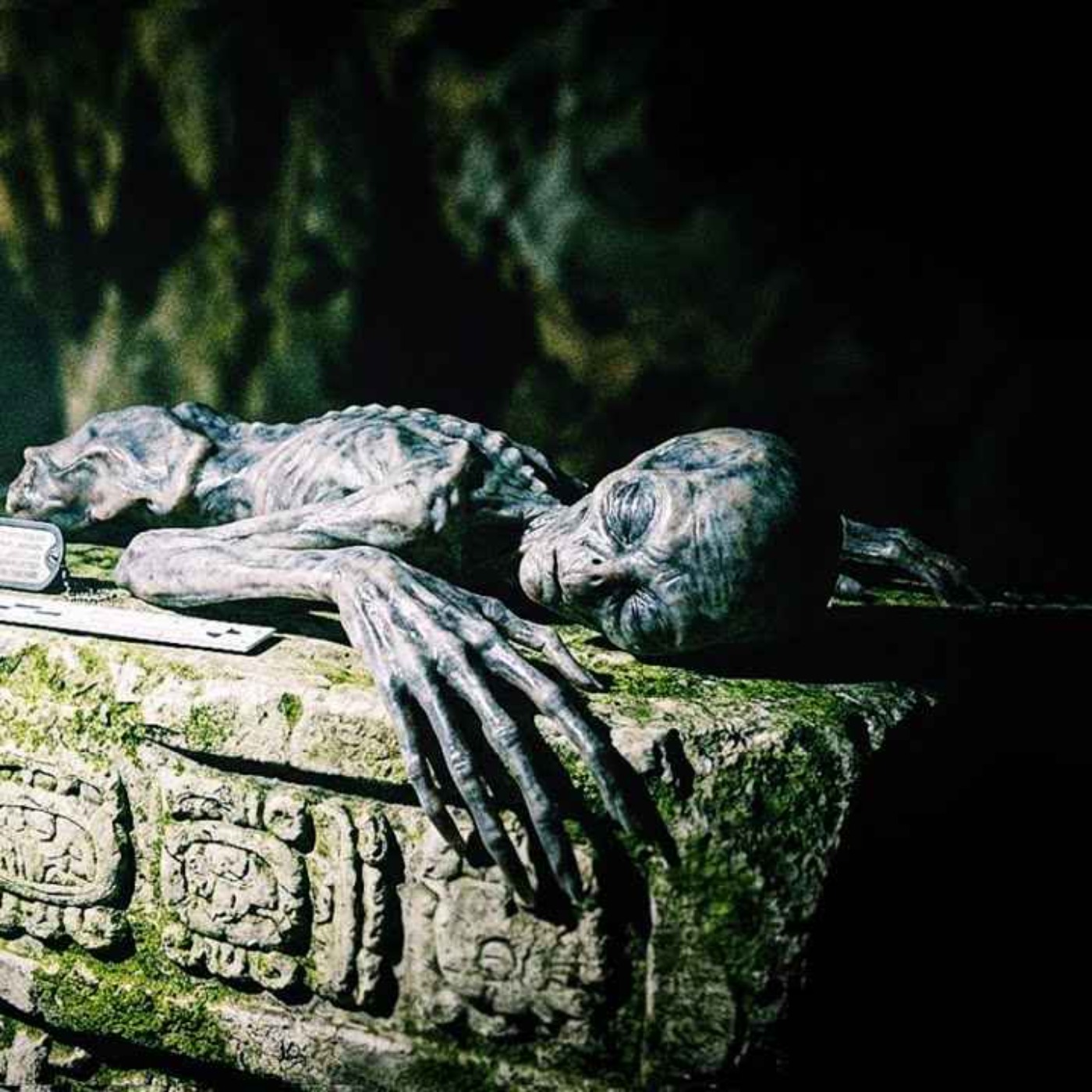CAZADORES DESCUBREN UN CUERPO "ALIENÍGENA" EN UNA CUEVA MAYA, SU PEOR ERROR FUE QUERER VENDERLO