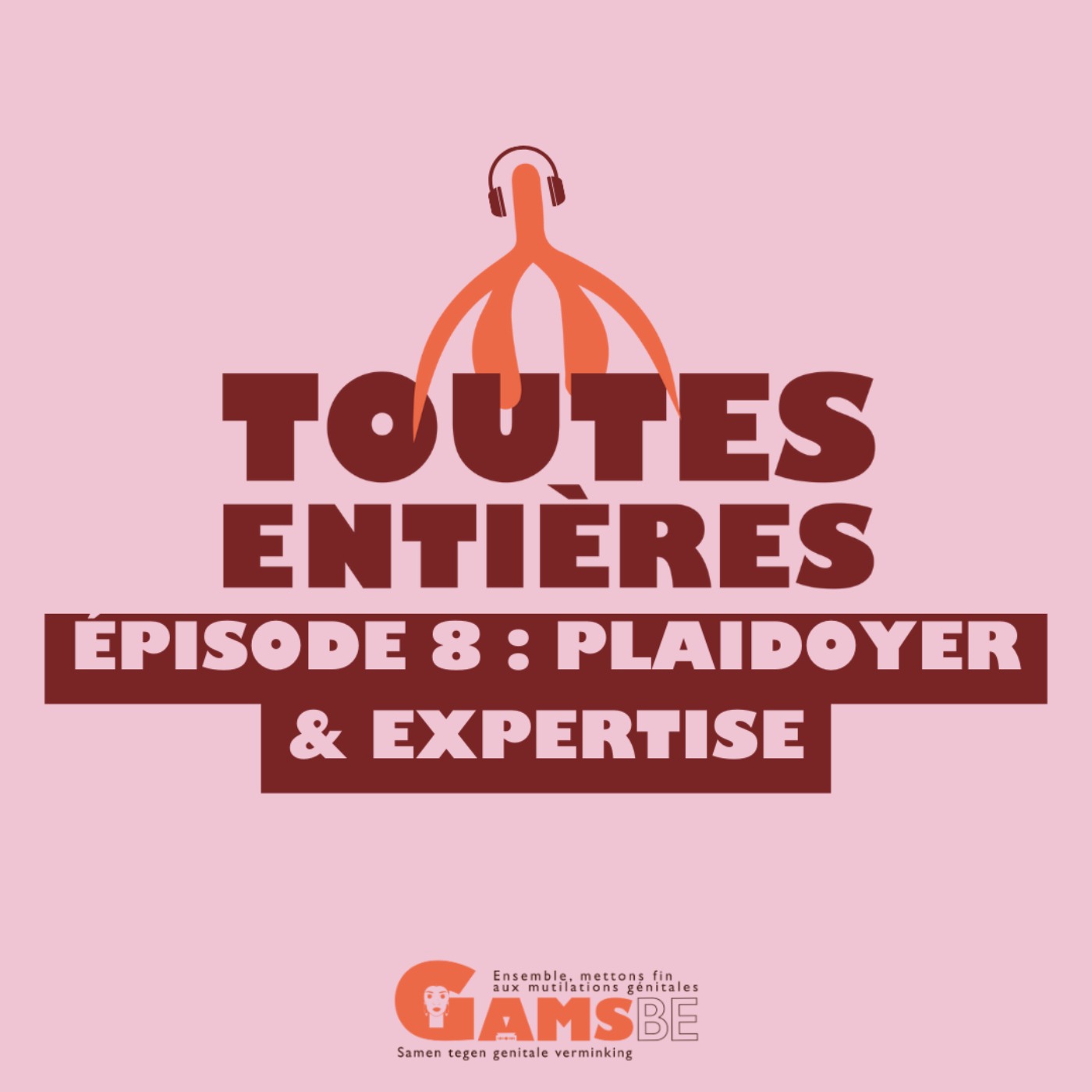 Plaidoyer et expertise