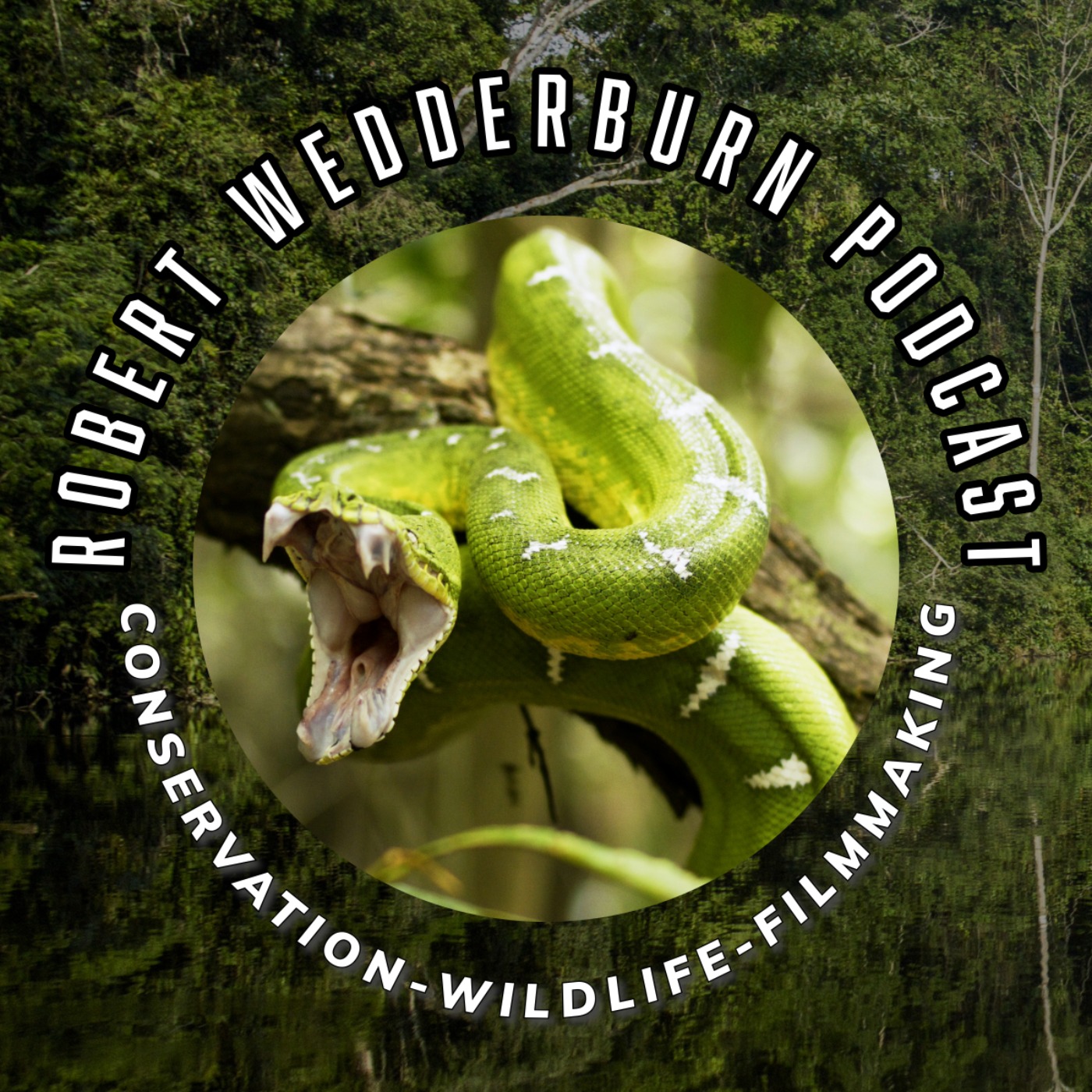 Robert Wedderburn Podcast