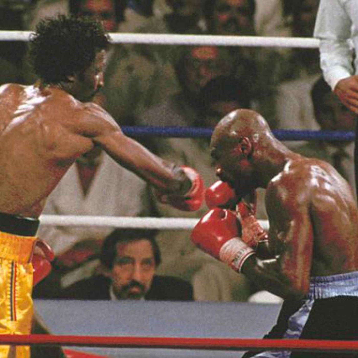 The Boxing Verdict